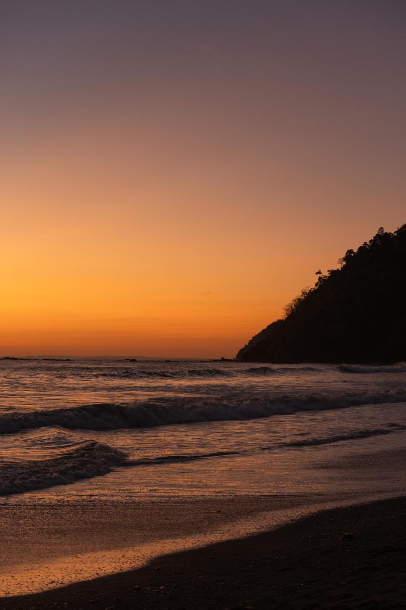 Vida Palace Jaco