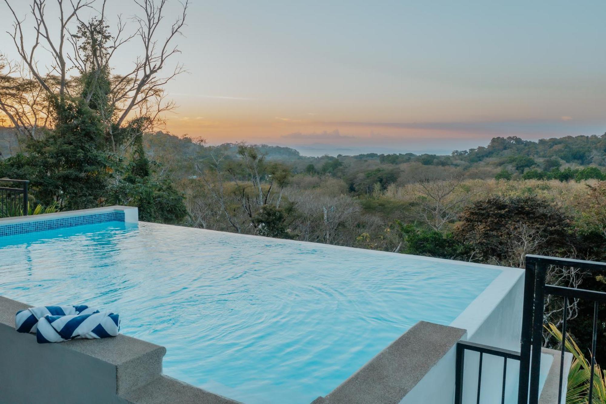 Vida Palace Villa *