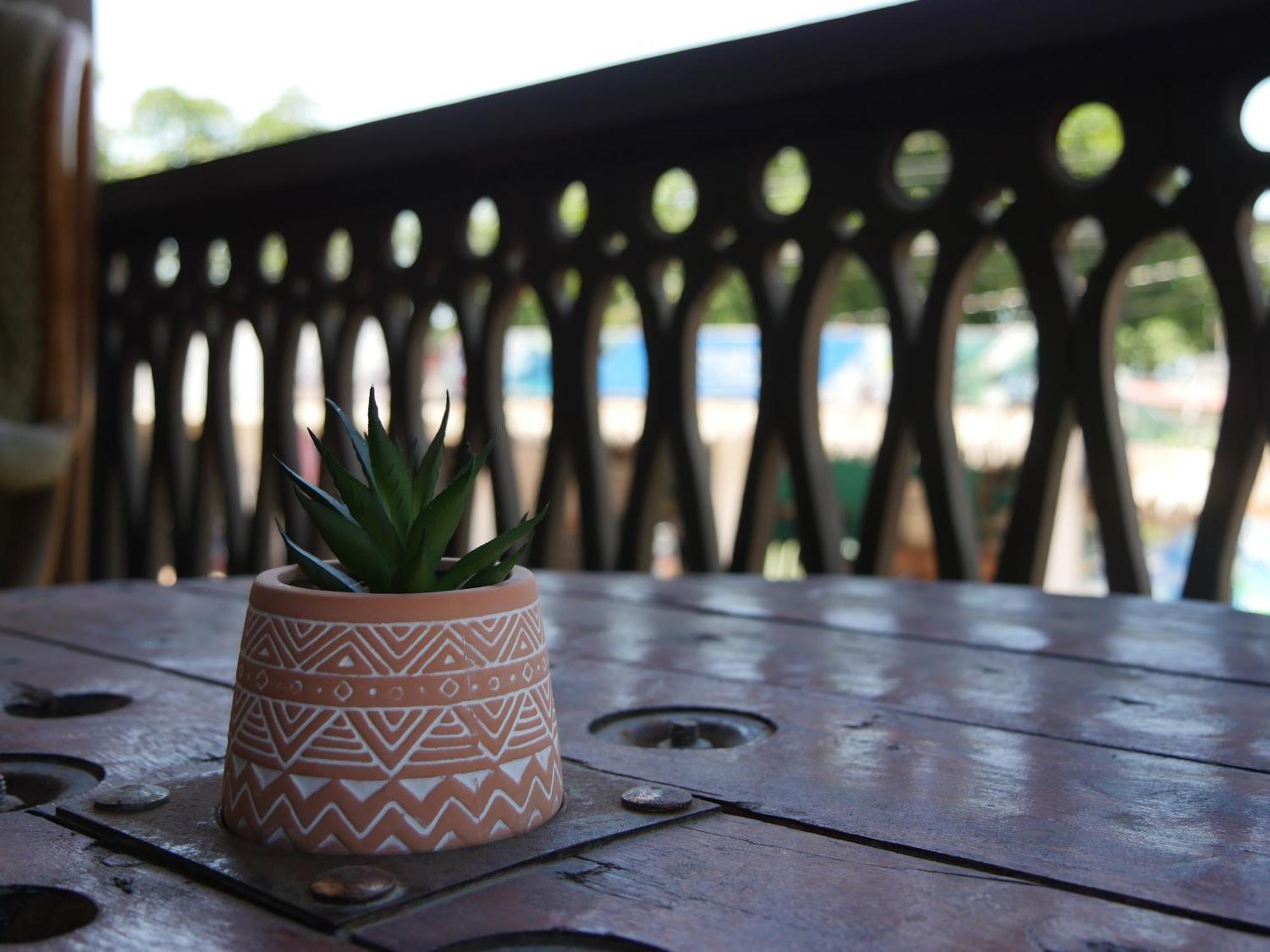 Hotel Mandacaru Puerto Viejo *