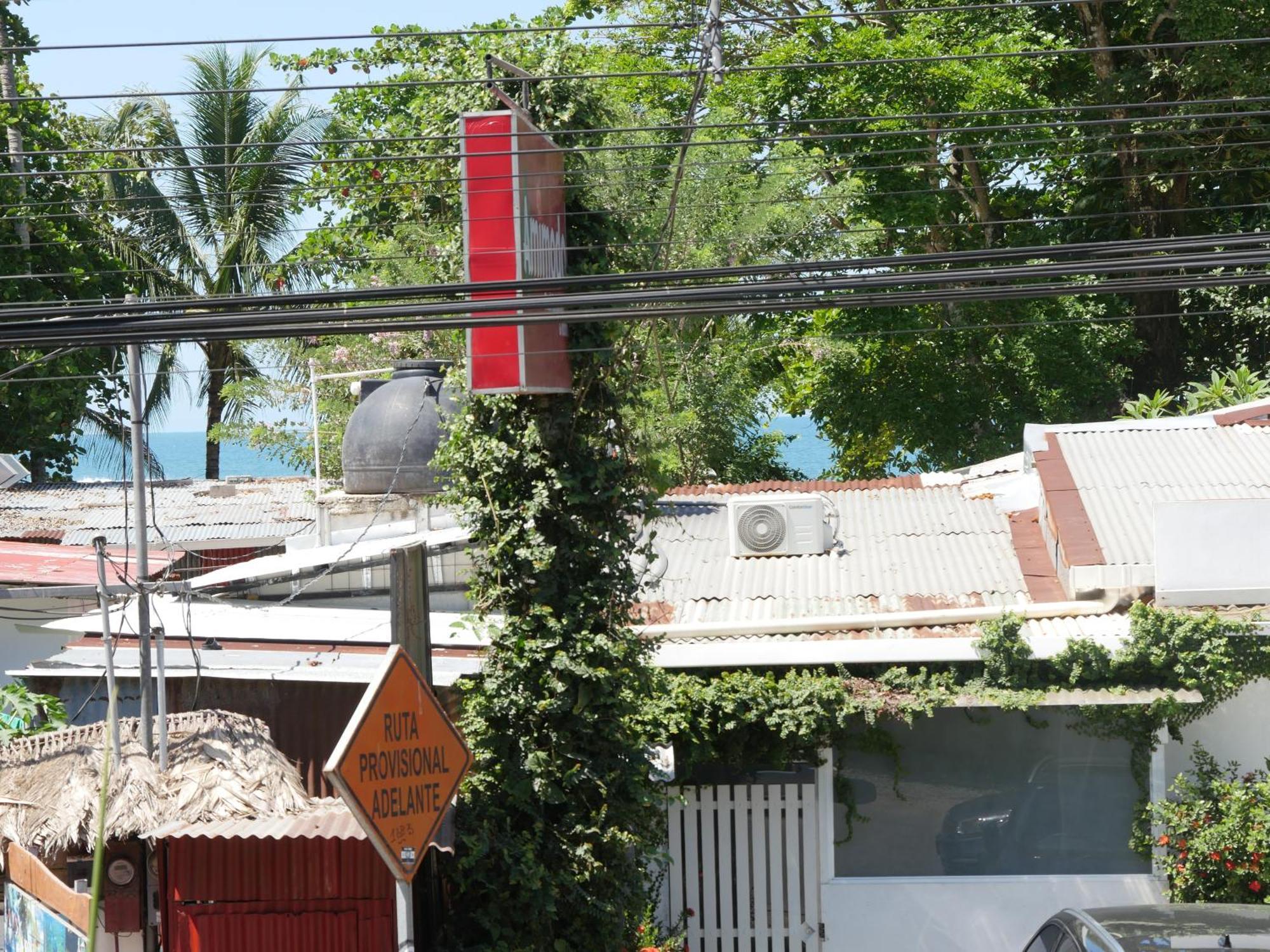 Mandacaru Puerto Viejo *