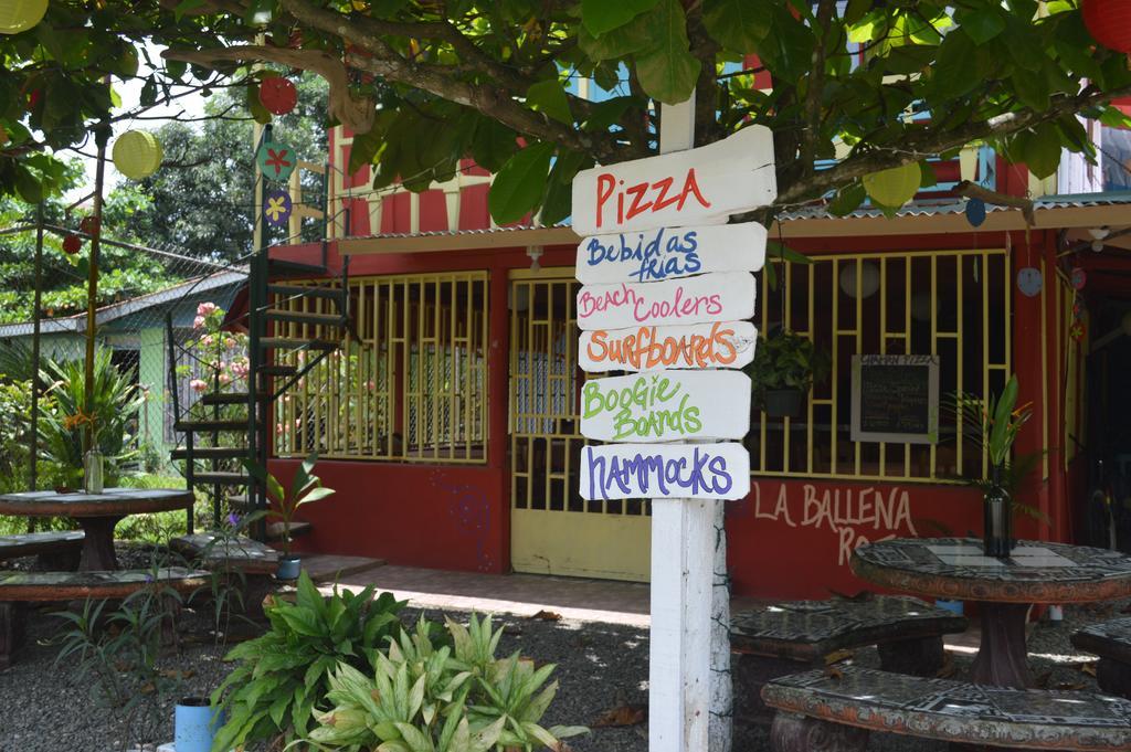 La Ballena Roja And Cafe *