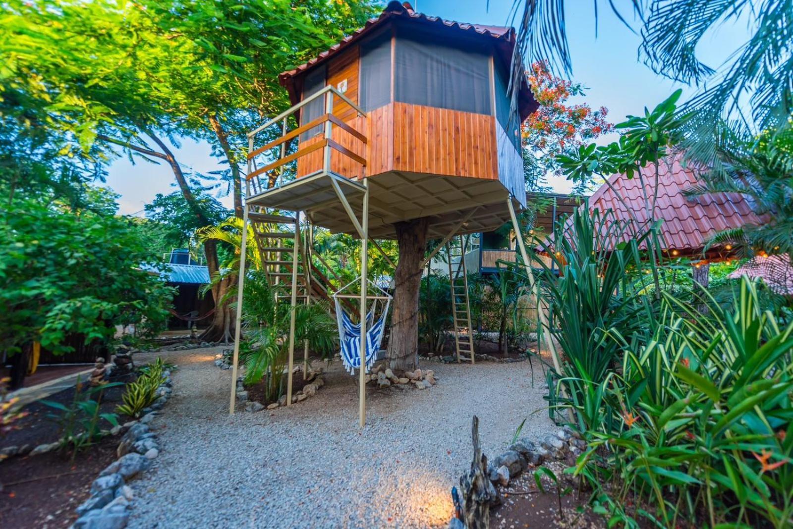Casa Tropical Playa Grande *