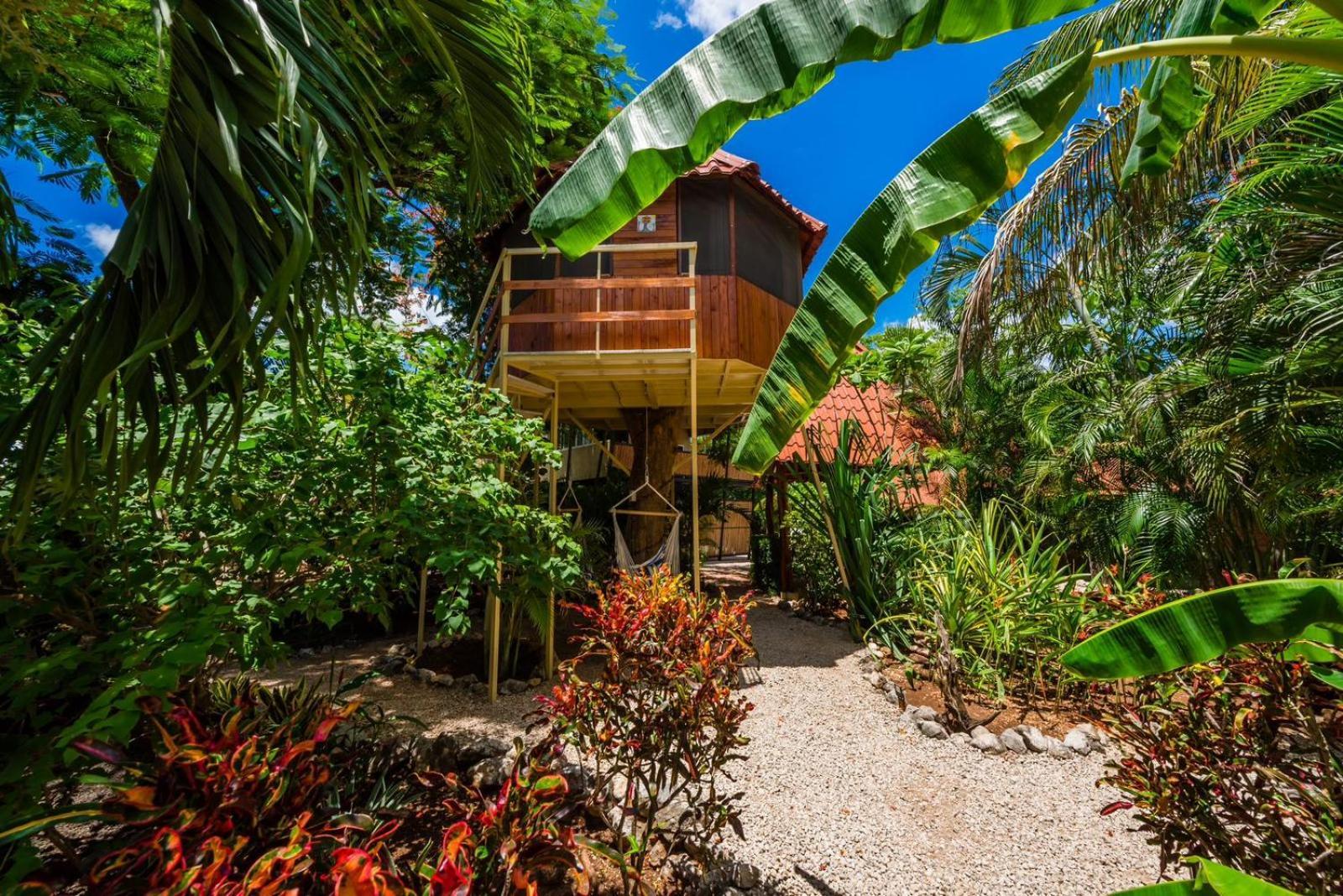 Casa Tropical Playa Grande Bed & Breakfast