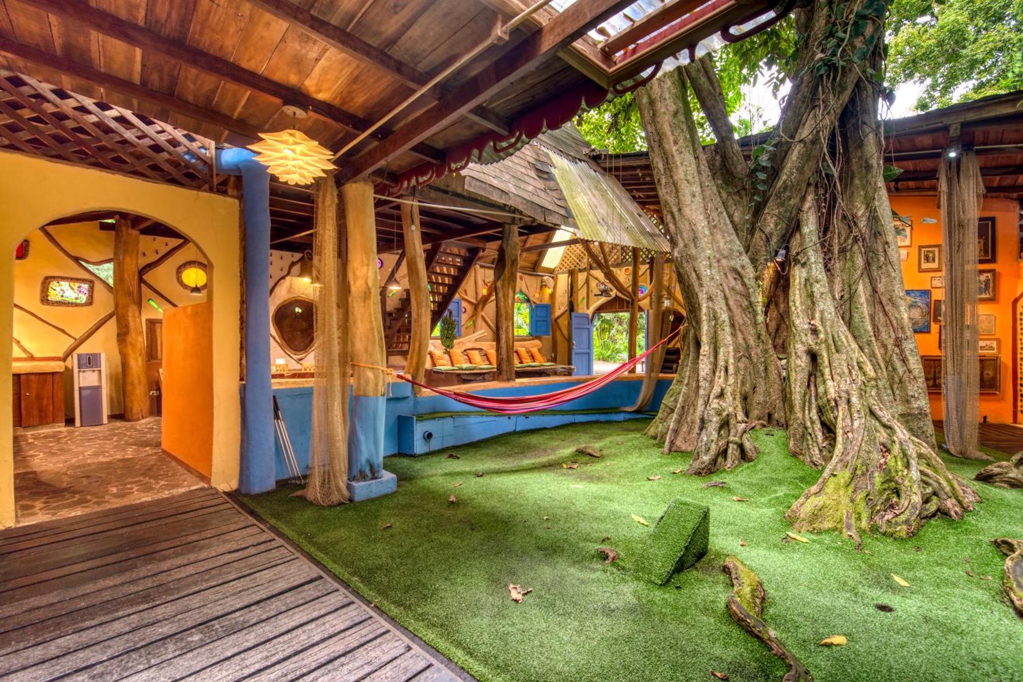Tree House Beachfront *
