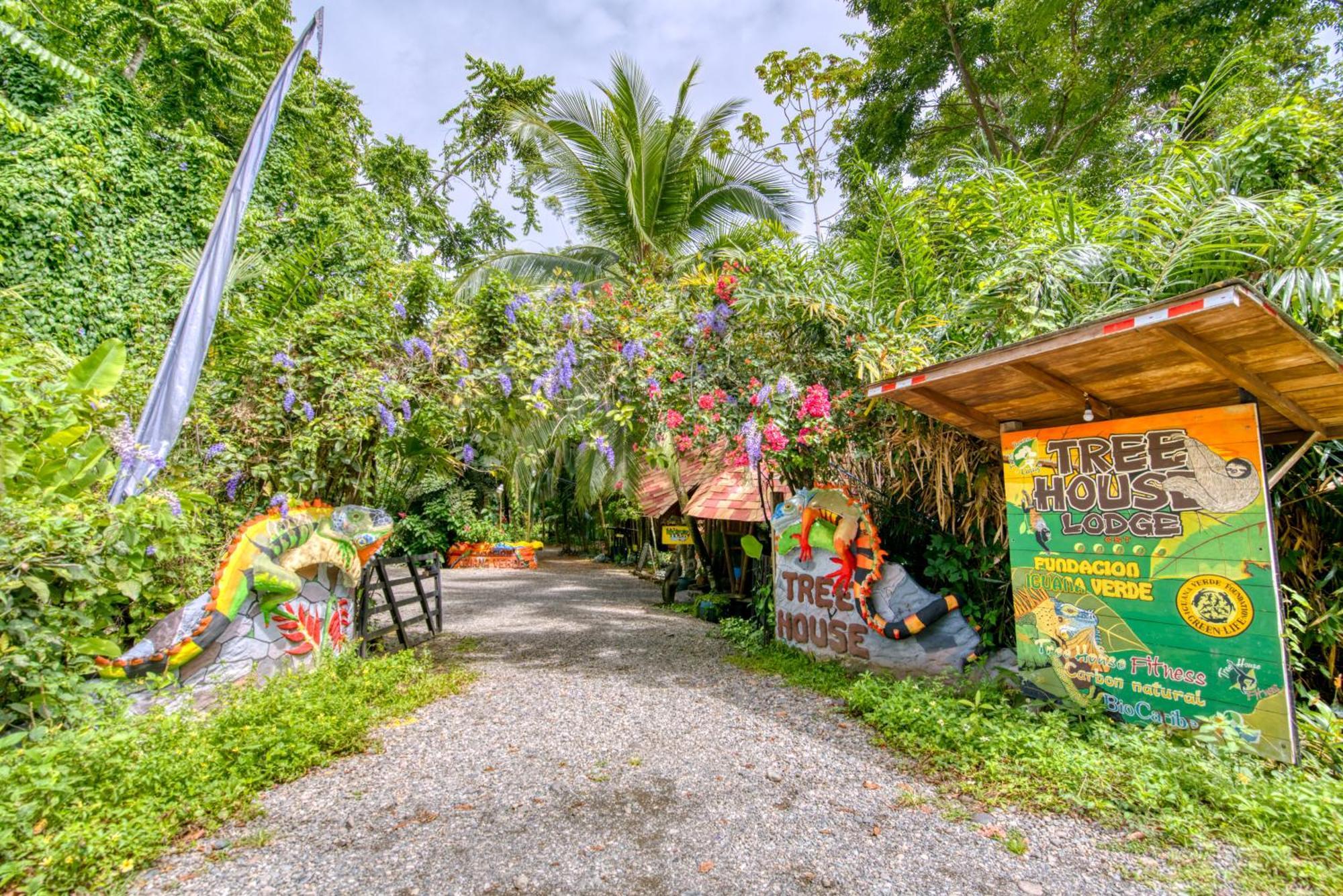 Lodge Tree House Beachfront *
