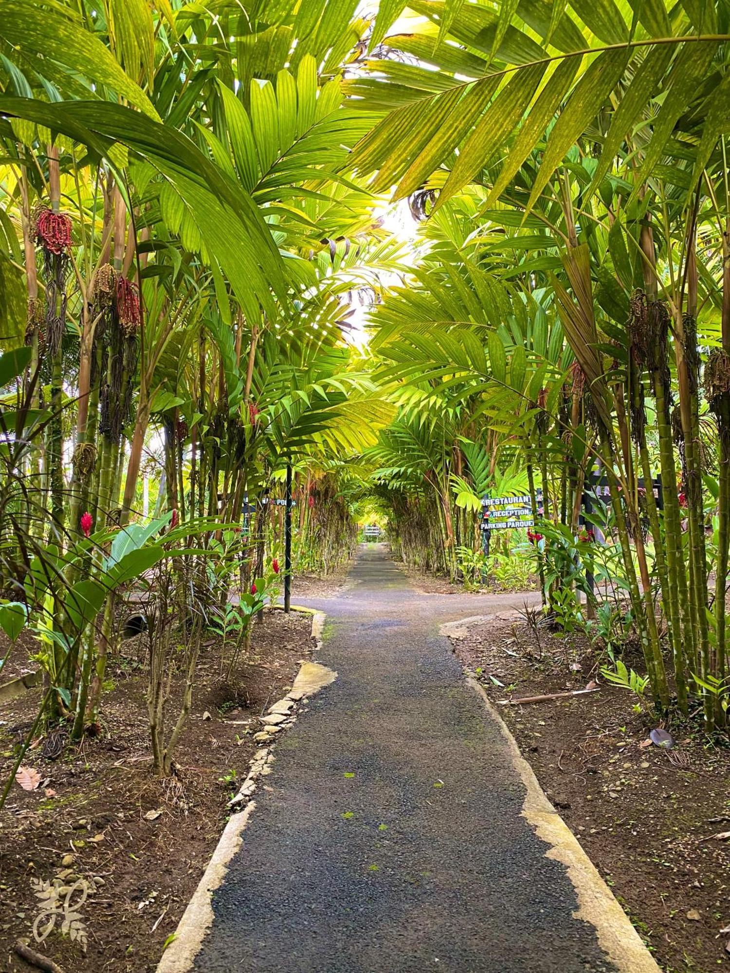 Heliconias Nature & Hot Springs La Fortuna