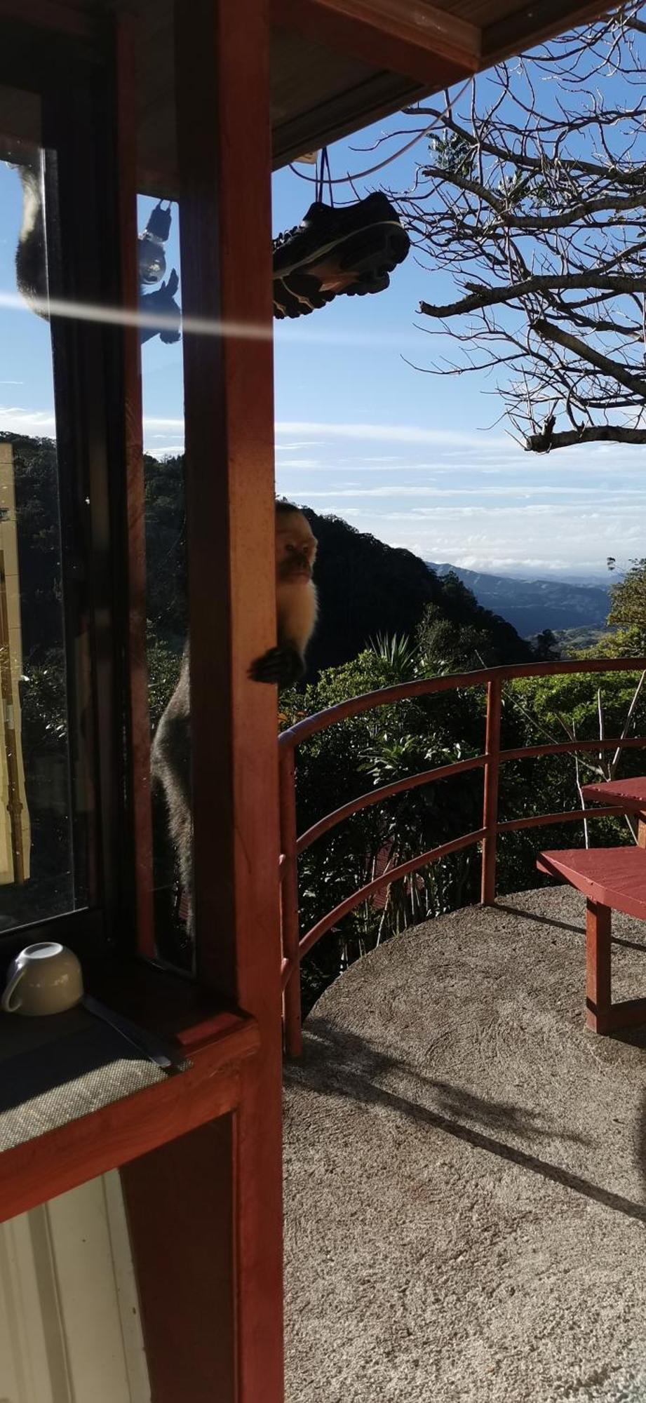 Mora's Place Monteverde