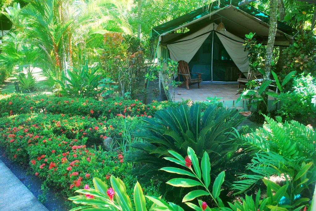 Bed & Breakfast Rafiki Camp Matapalo (Puntarenas)