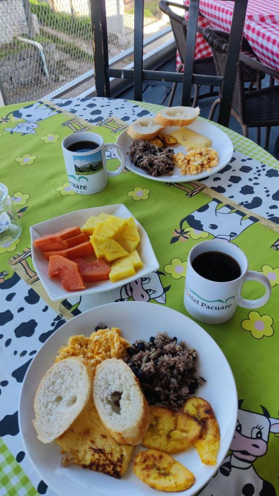 Bed & Breakfast Pacuare *