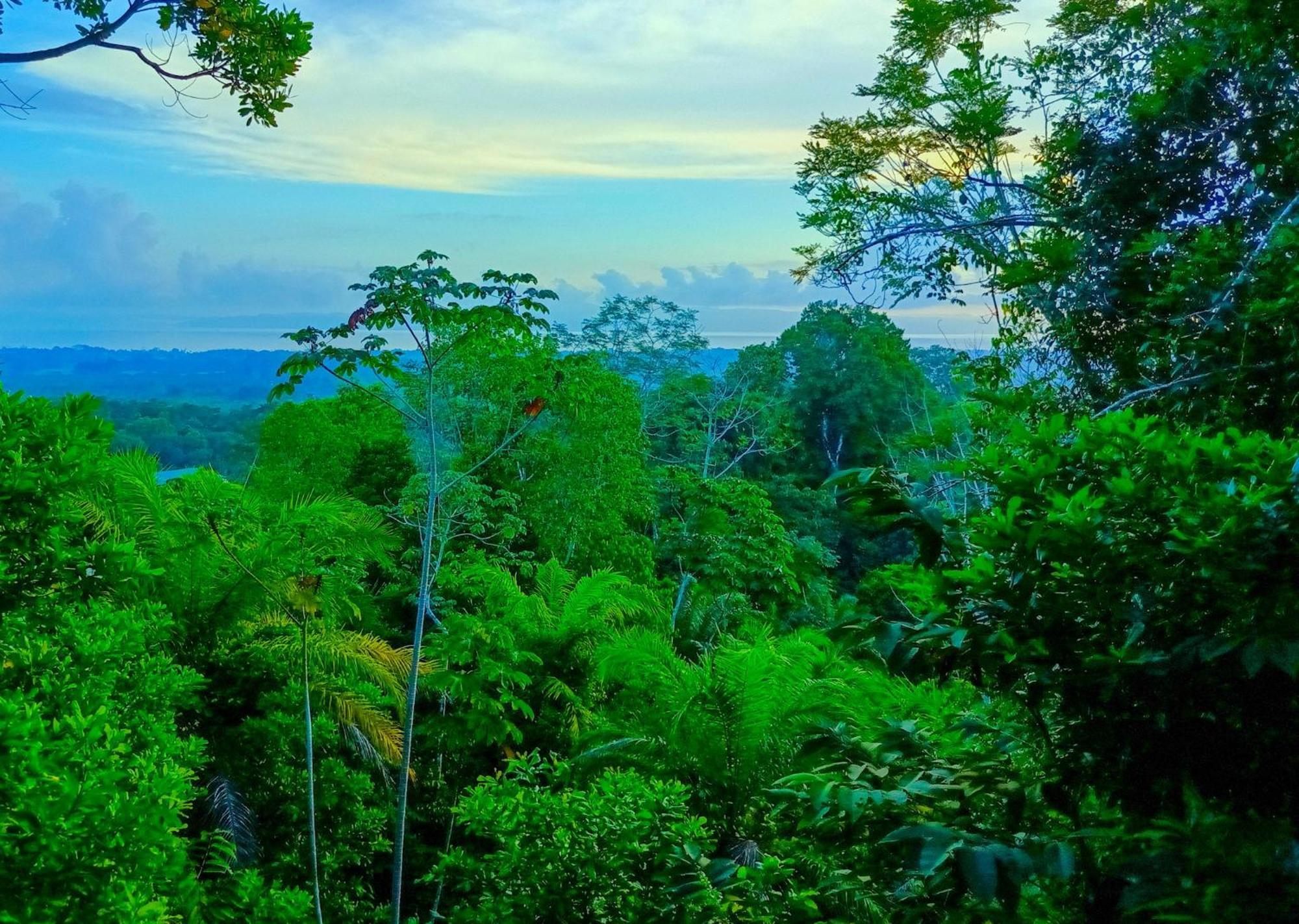 Corcovado-ac-jacuzzi-pool-great Views-nature-relaxing Puerto Jimenez