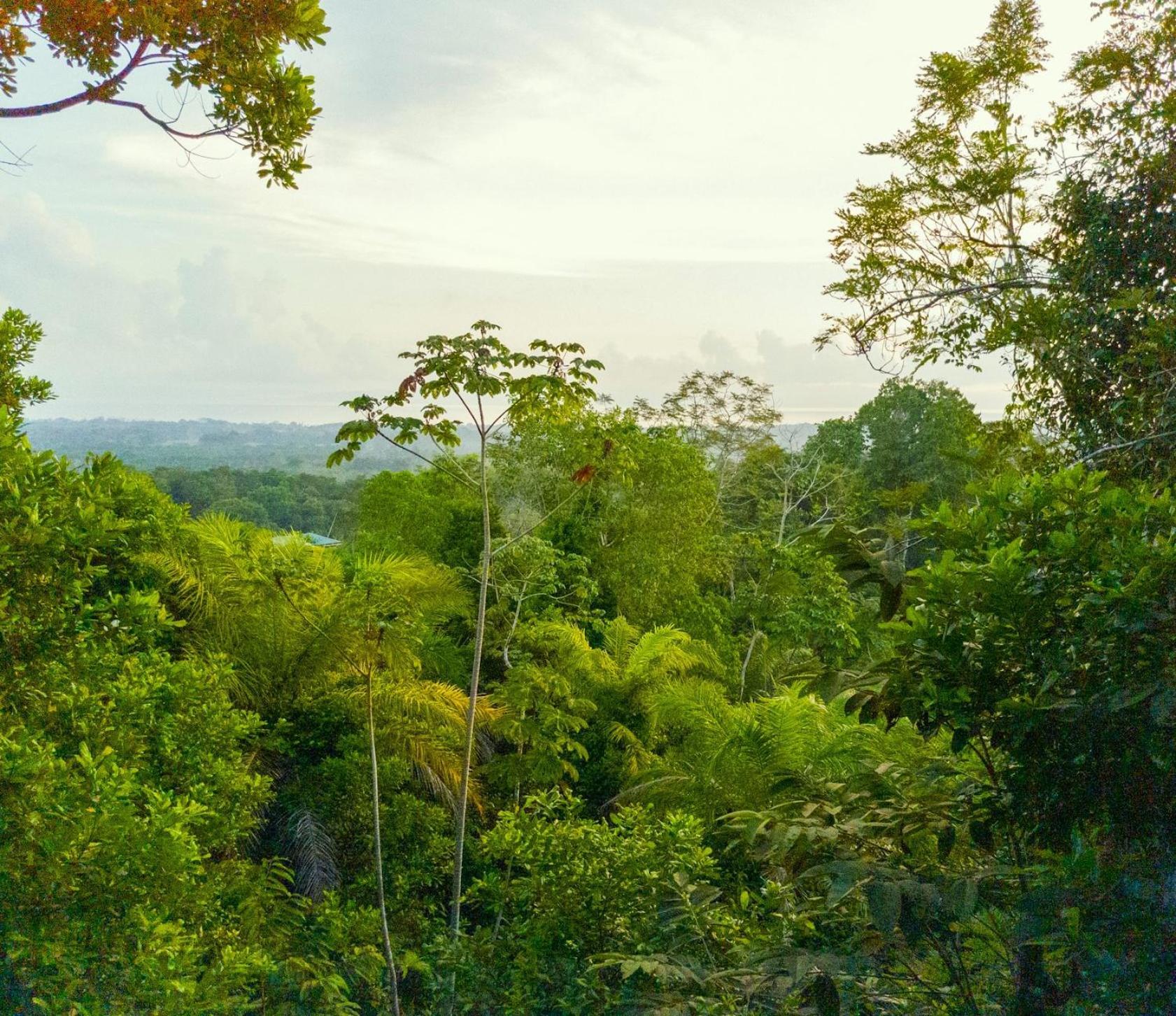 Corcovado-ac-jacuzzi-pool-great Views-nature-relaxing * Puerto Jimenez