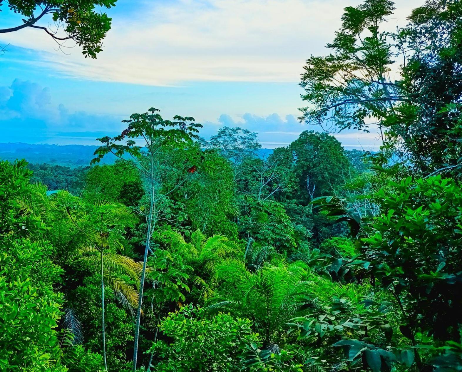 Corcovado-ac-jacuzzi-pool-great Views-nature-relaxing Villa