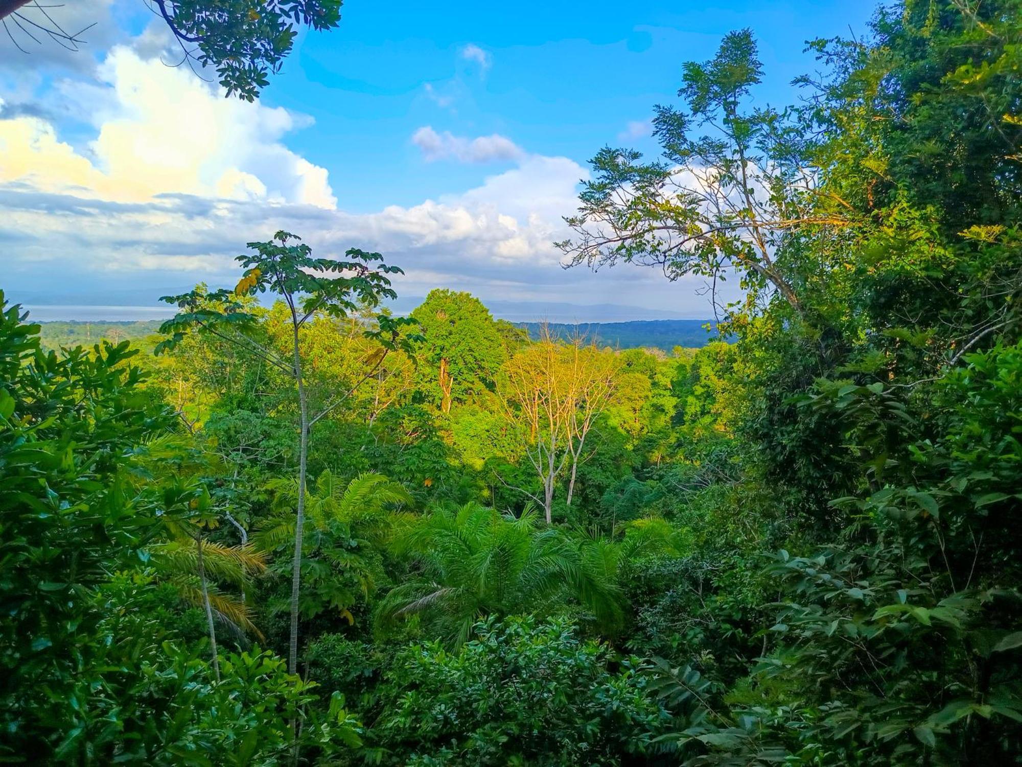 Villa Corcovado-ac-jacuzzi-pool-great Views-nature-relaxing Puerto Jimenez