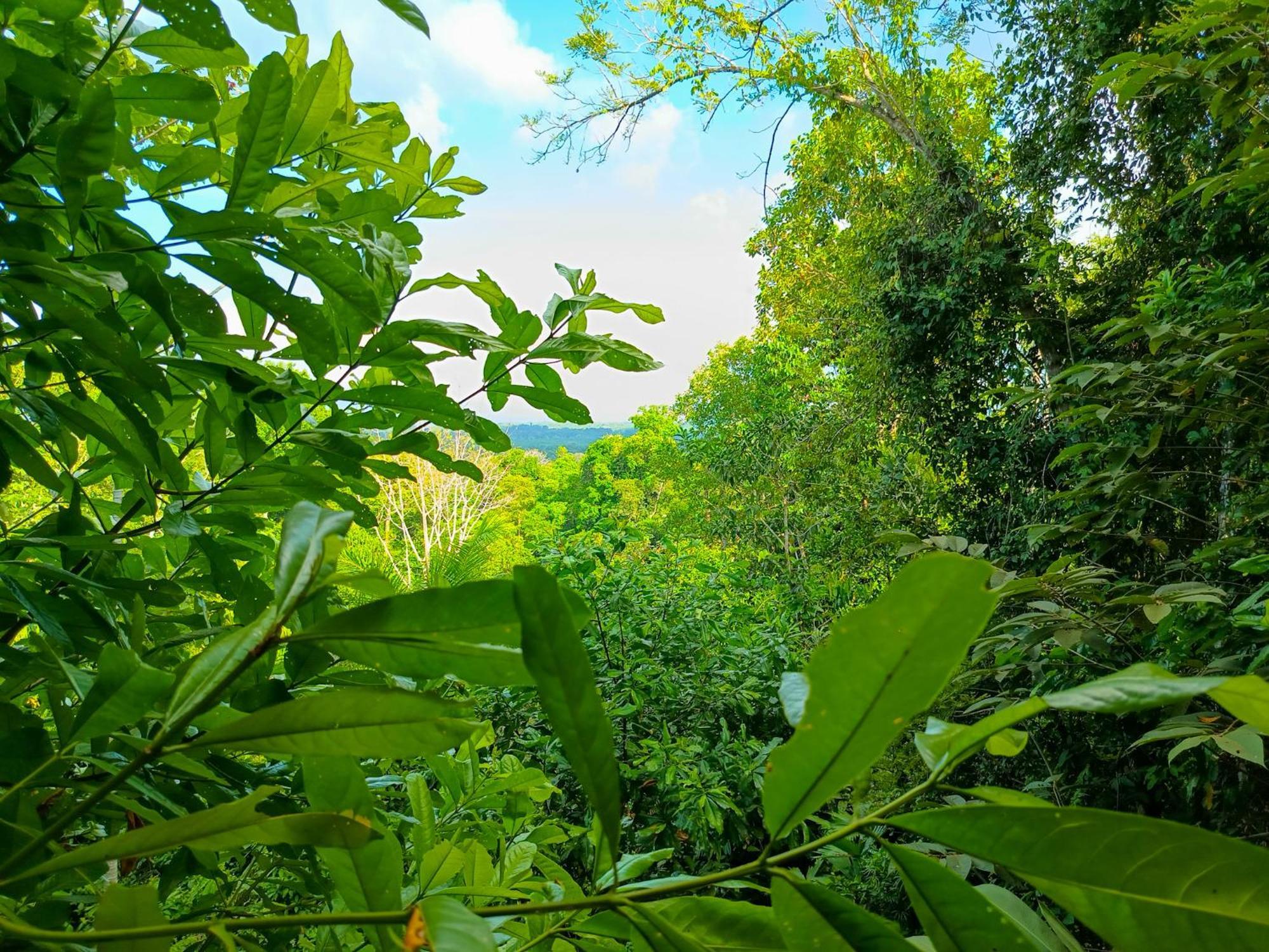 Villa Corcovado-ac-jacuzzi-pool-great Views-nature-relaxing