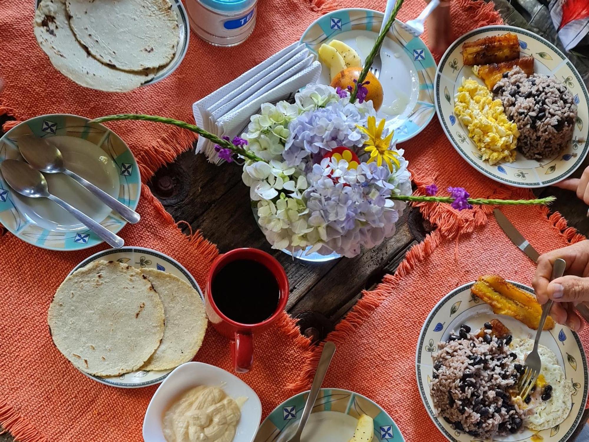 Bed & Breakfast Reserva Y Robles Mimosos Cartago
