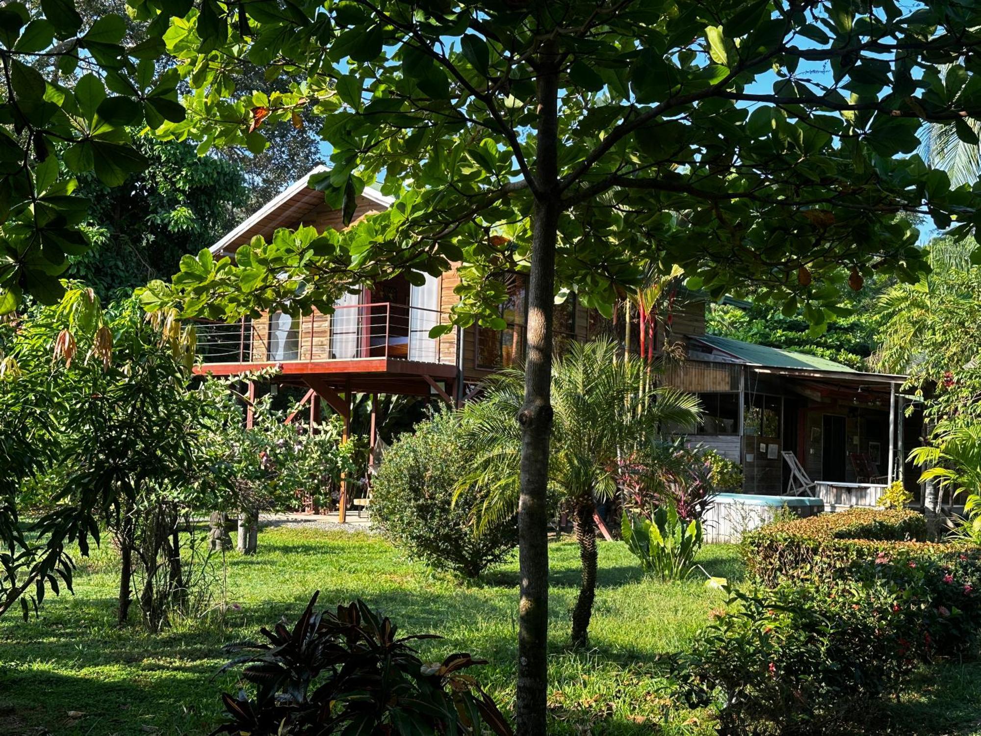 Oasis Retreat With And * Uvita