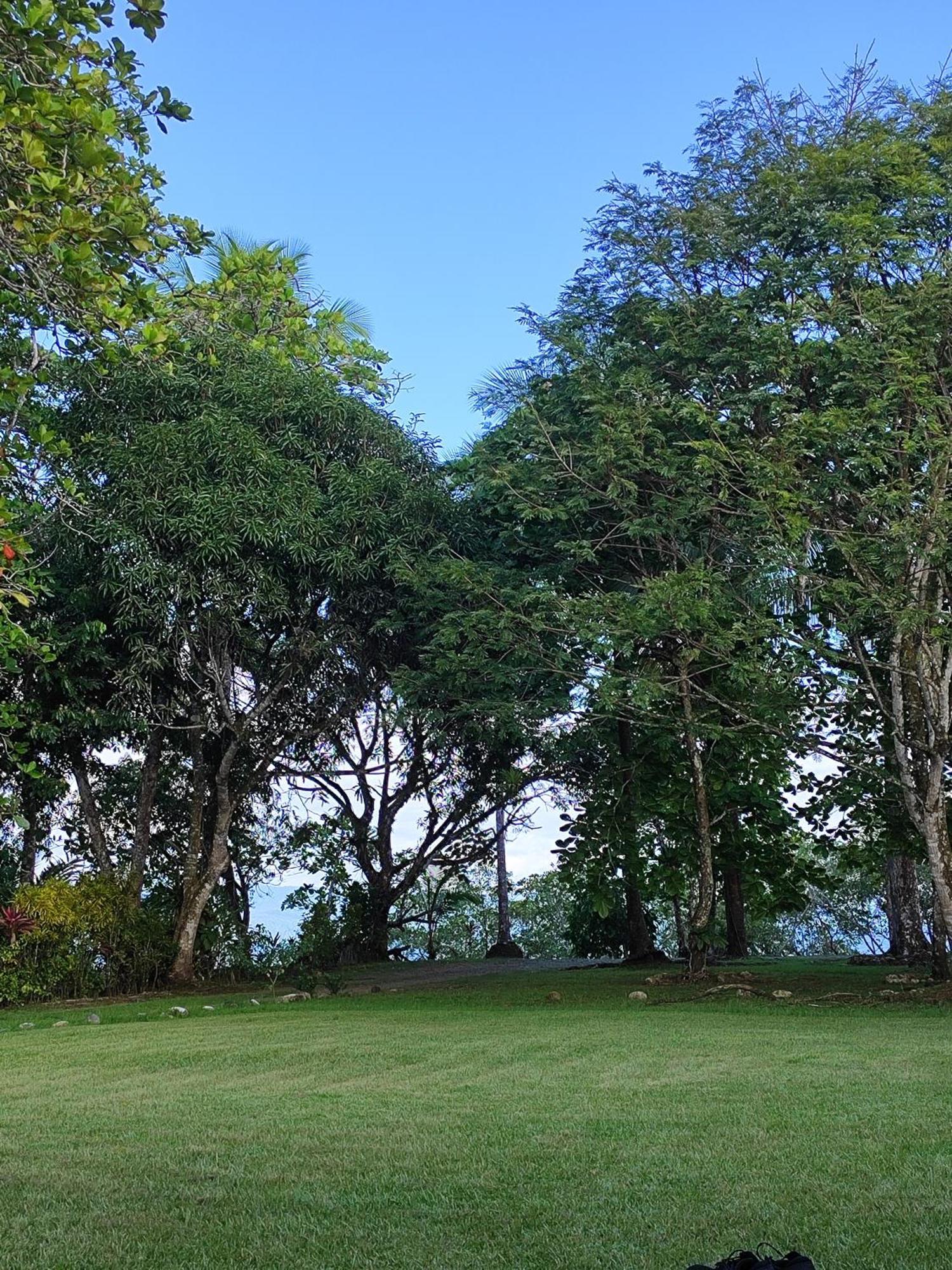 Casa Osa Azul Country house Puerto Jimenez
