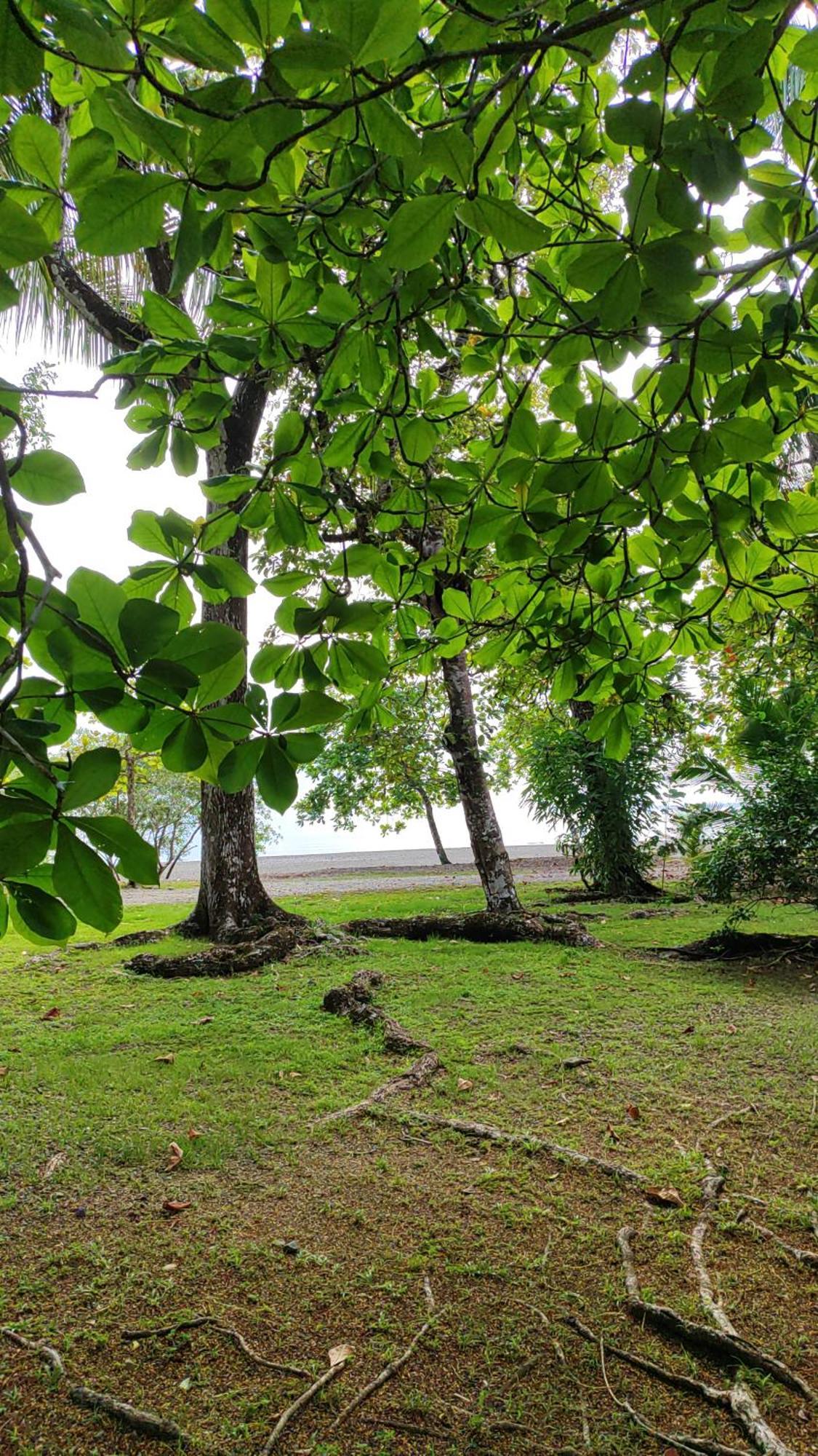 Casa Osa Azul Country house Puerto Jimenez