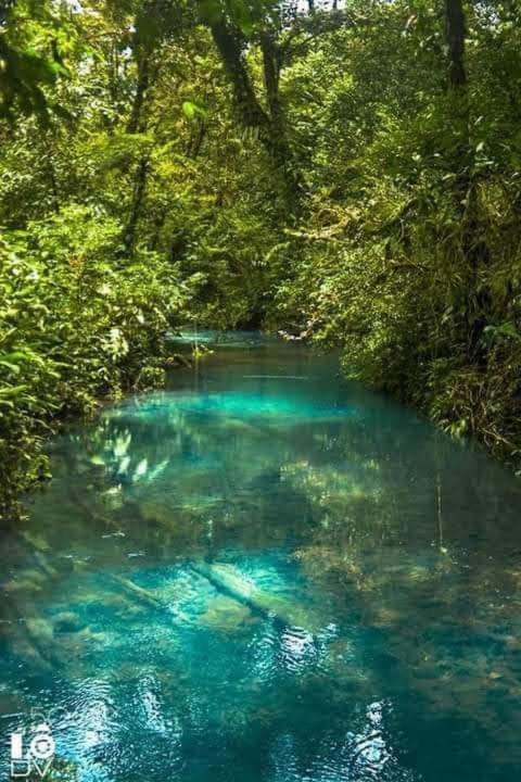 Maricel House * Rio Celeste