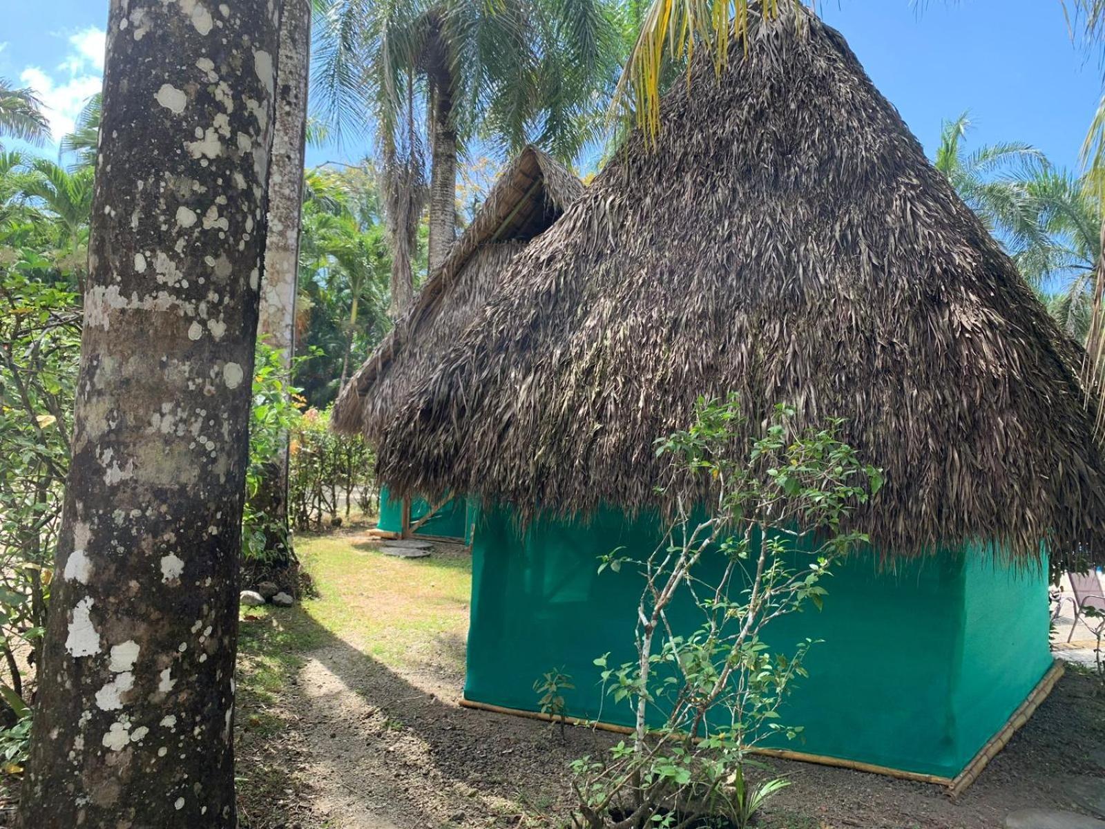 Mal Pais Surf Camp Hotel