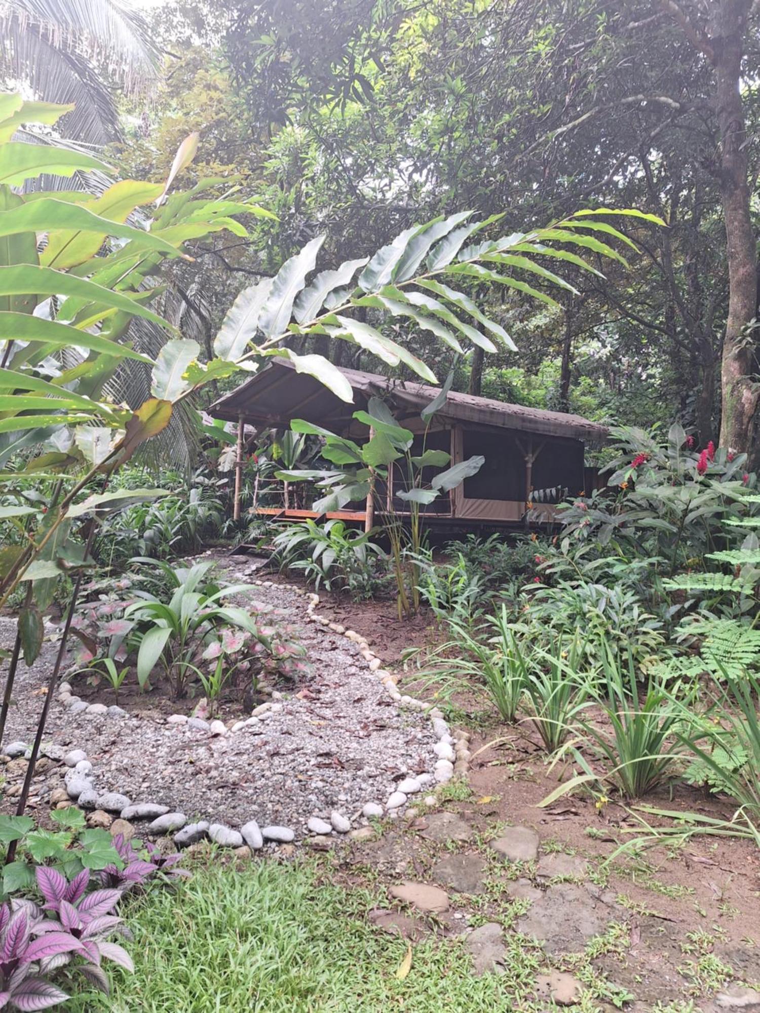 Four Monkeys Eco - Jungle & *