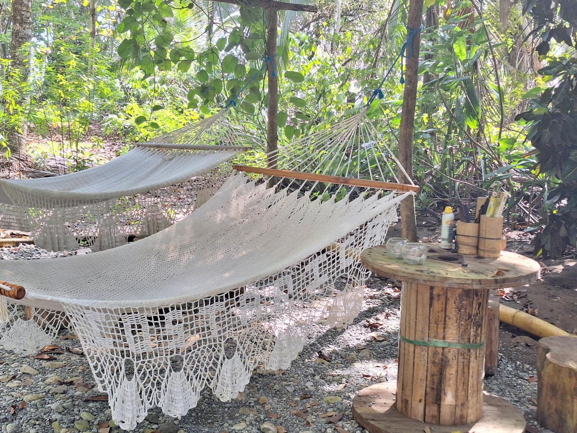 Four Monkeys Eco - Jungle &