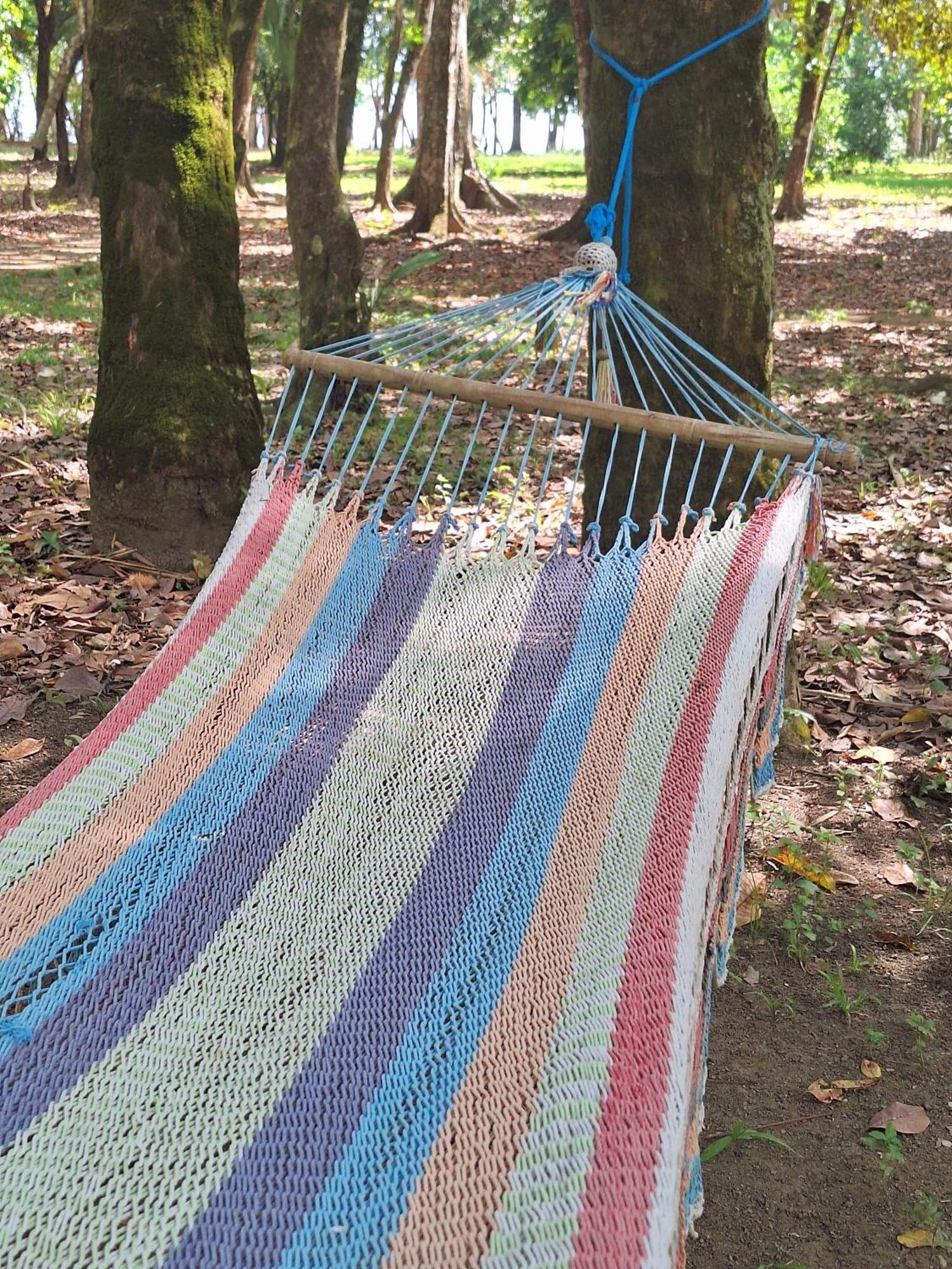 Lodge Four Monkeys Eco - Jungle & Cabo Matapalo