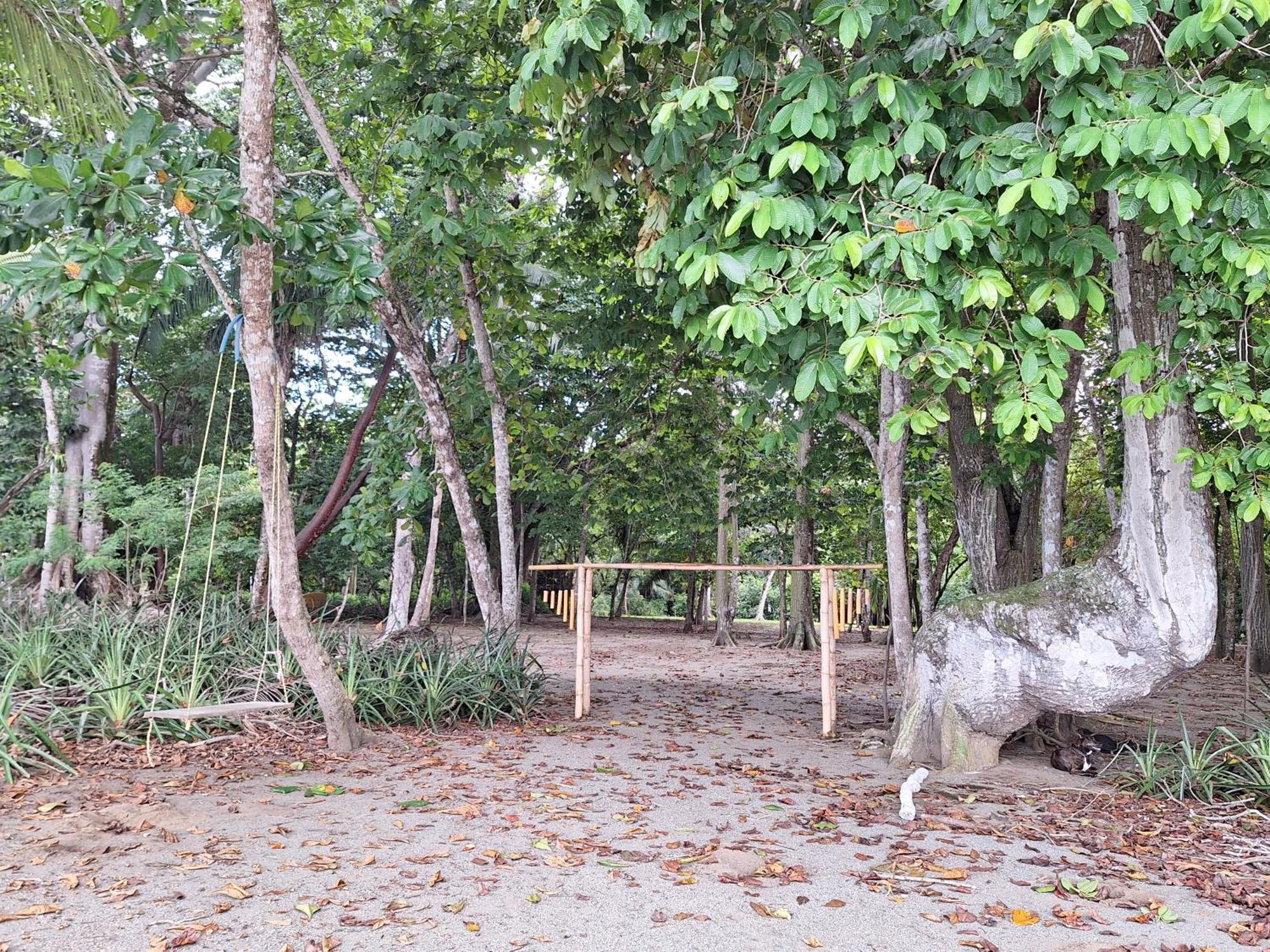 Four Monkeys Eco - Jungle &