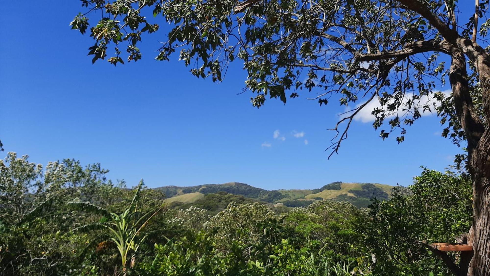 Guest house Granja Campesinos
