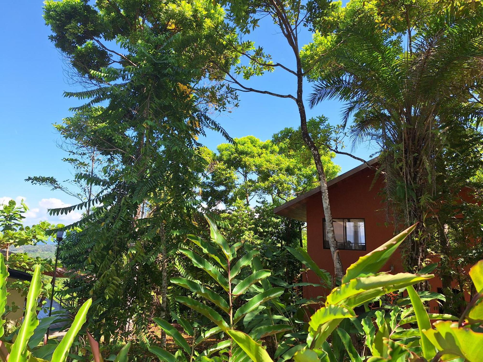 Corcovado-ac-jacuzzi-pool-great Views-nature-relaxing Villa *