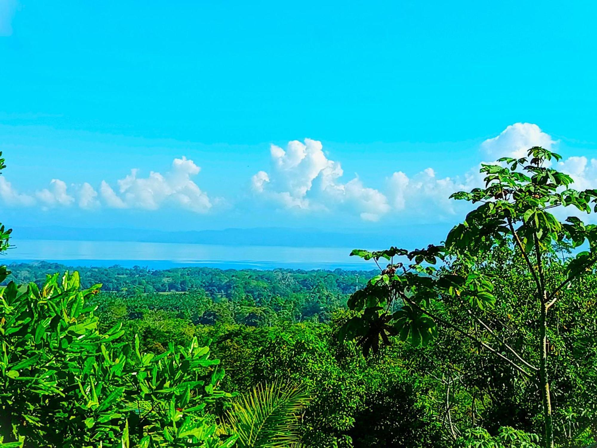 Corcovado-ac-jacuzzi-pool-great Views-nature-relaxing Villa