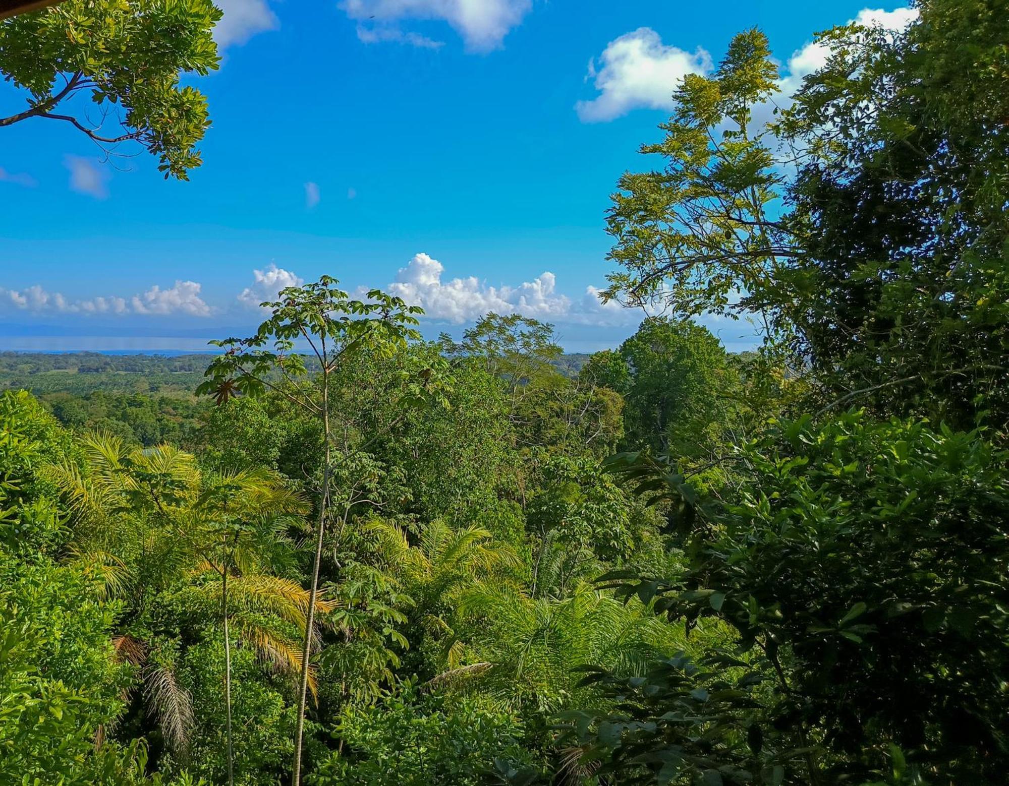 Villa Corcovado-ac-jacuzzi-pool-great Views-nature-relaxing *