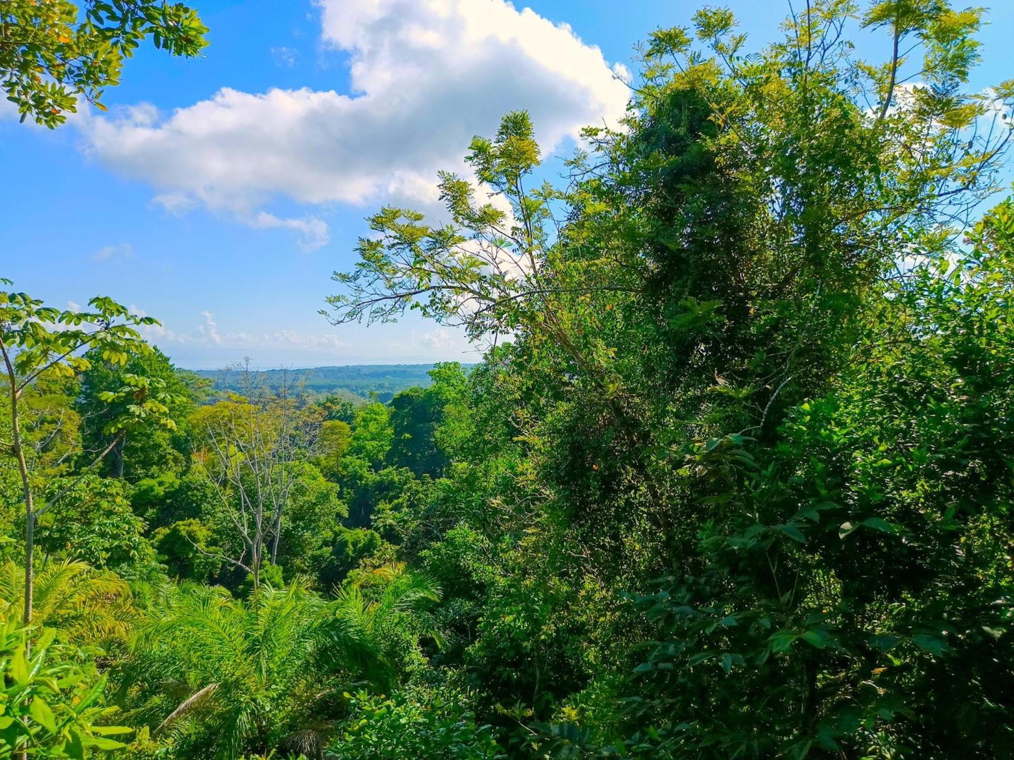 Corcovado-ac-jacuzzi-pool-great Views-nature-relaxing Villa *