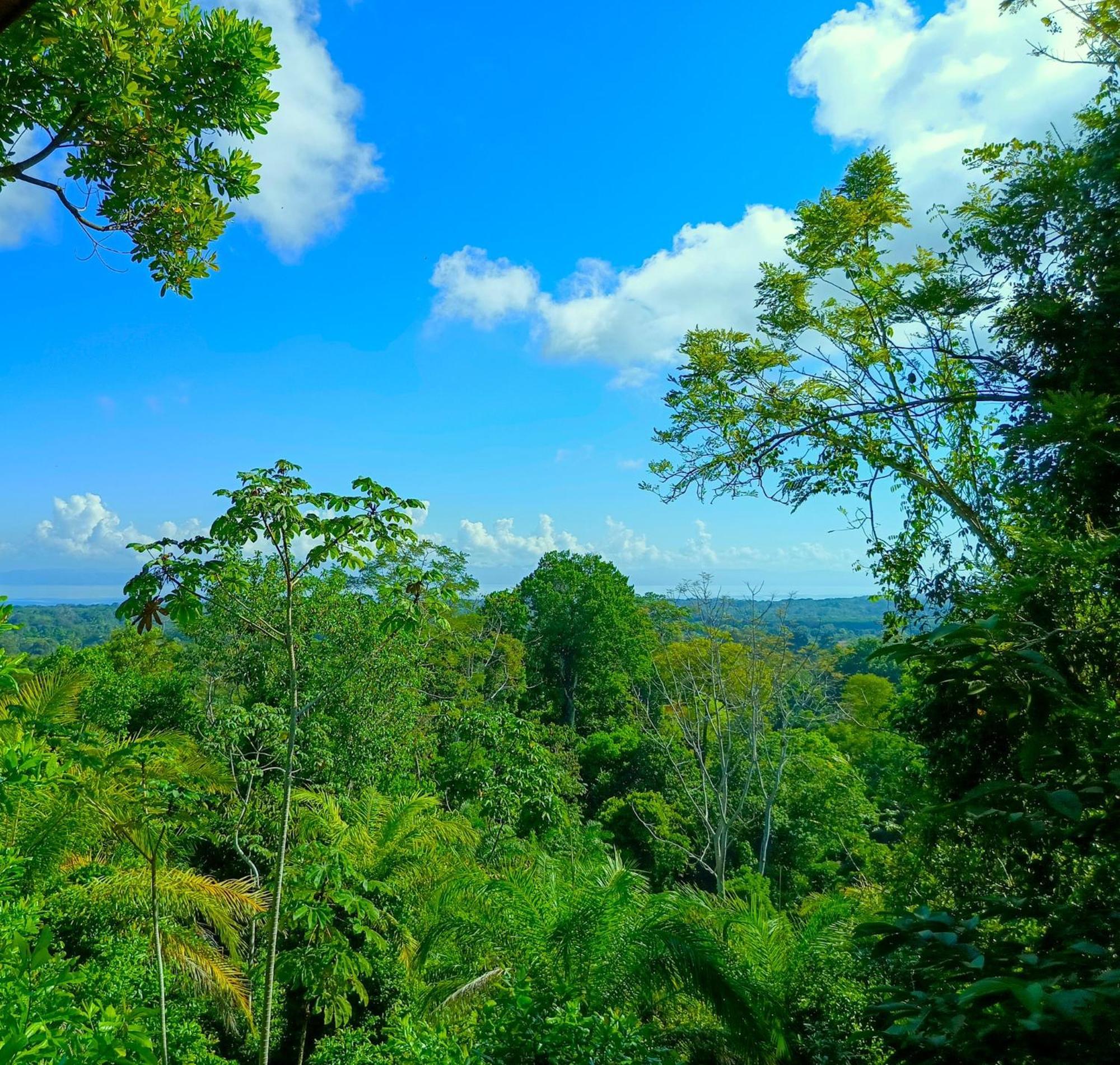 Corcovado-ac-jacuzzi-pool-great Views-nature-relaxing Villa Puerto Jimenez