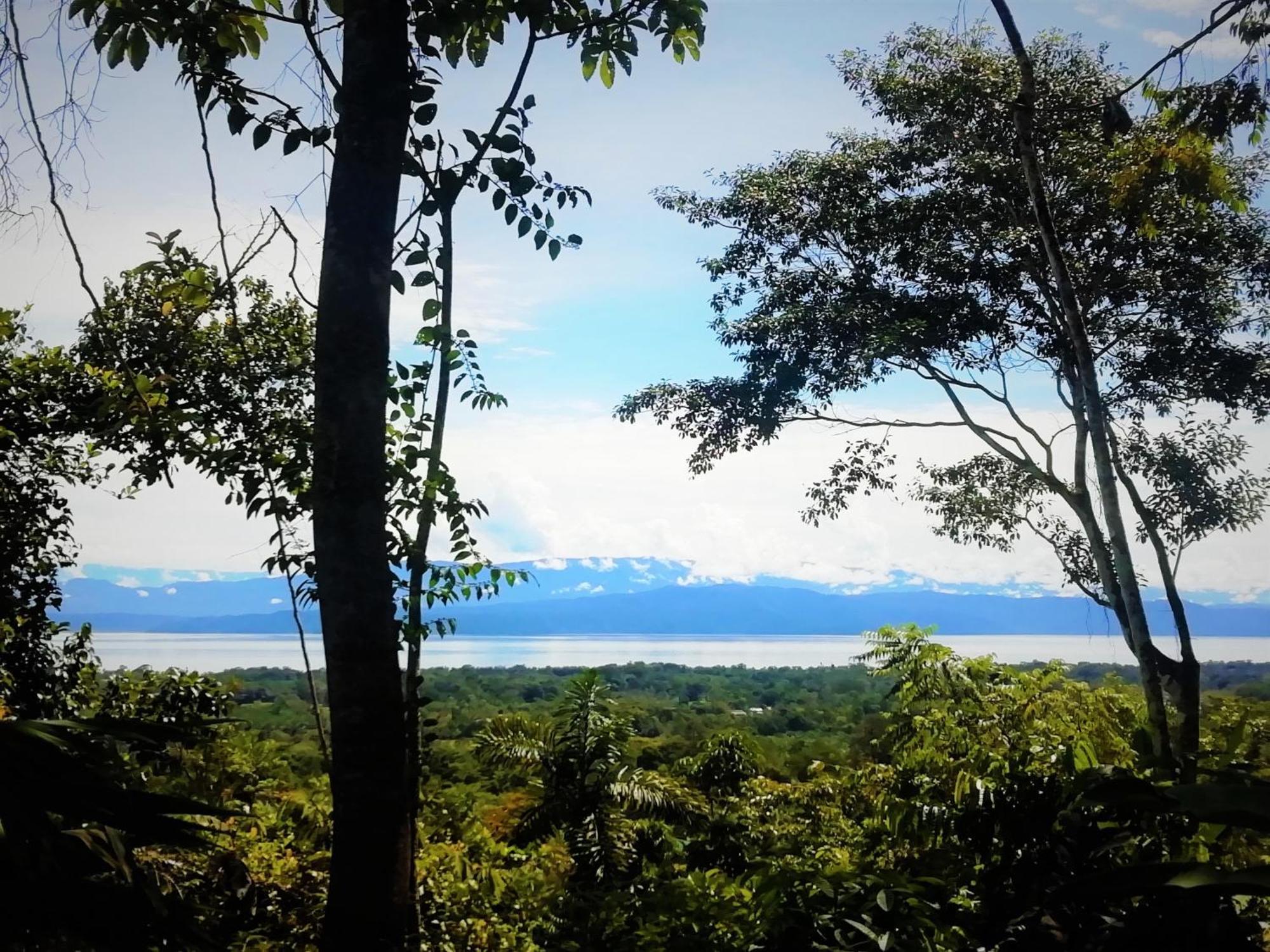 Corcovado-ac-jacuzzi-pool-great Views-nature-relaxing Villa *