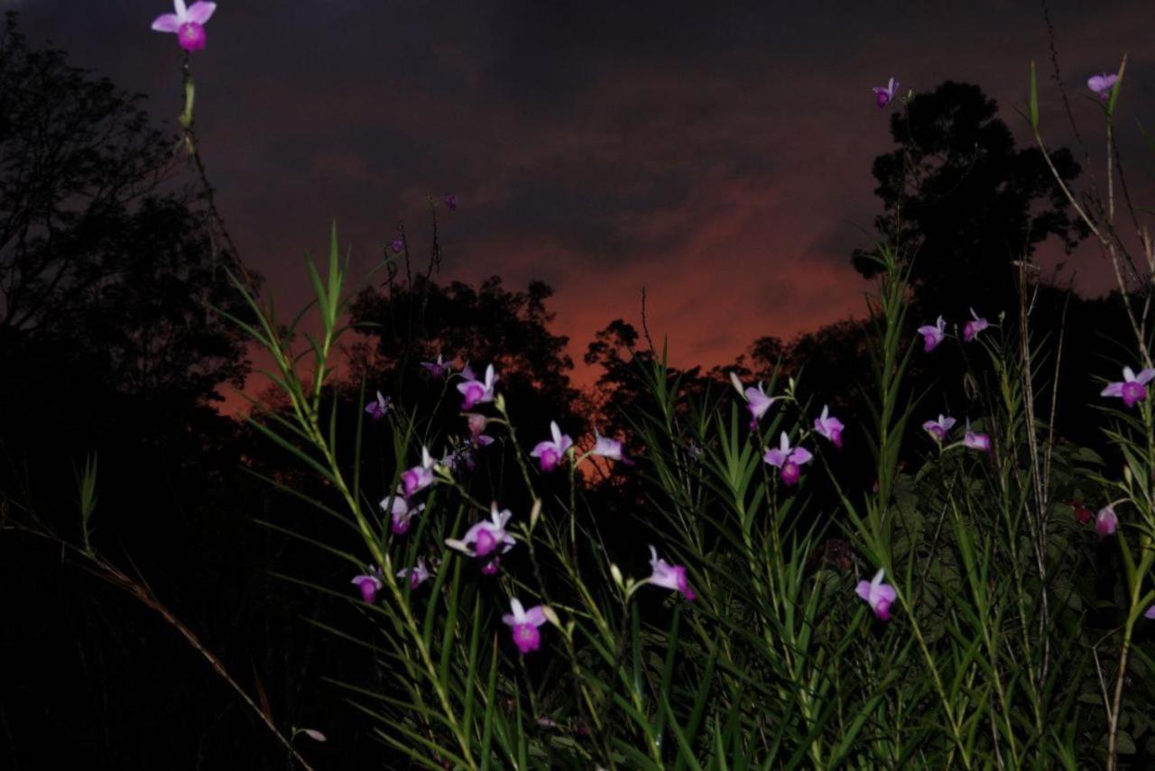 Country house La Laguna