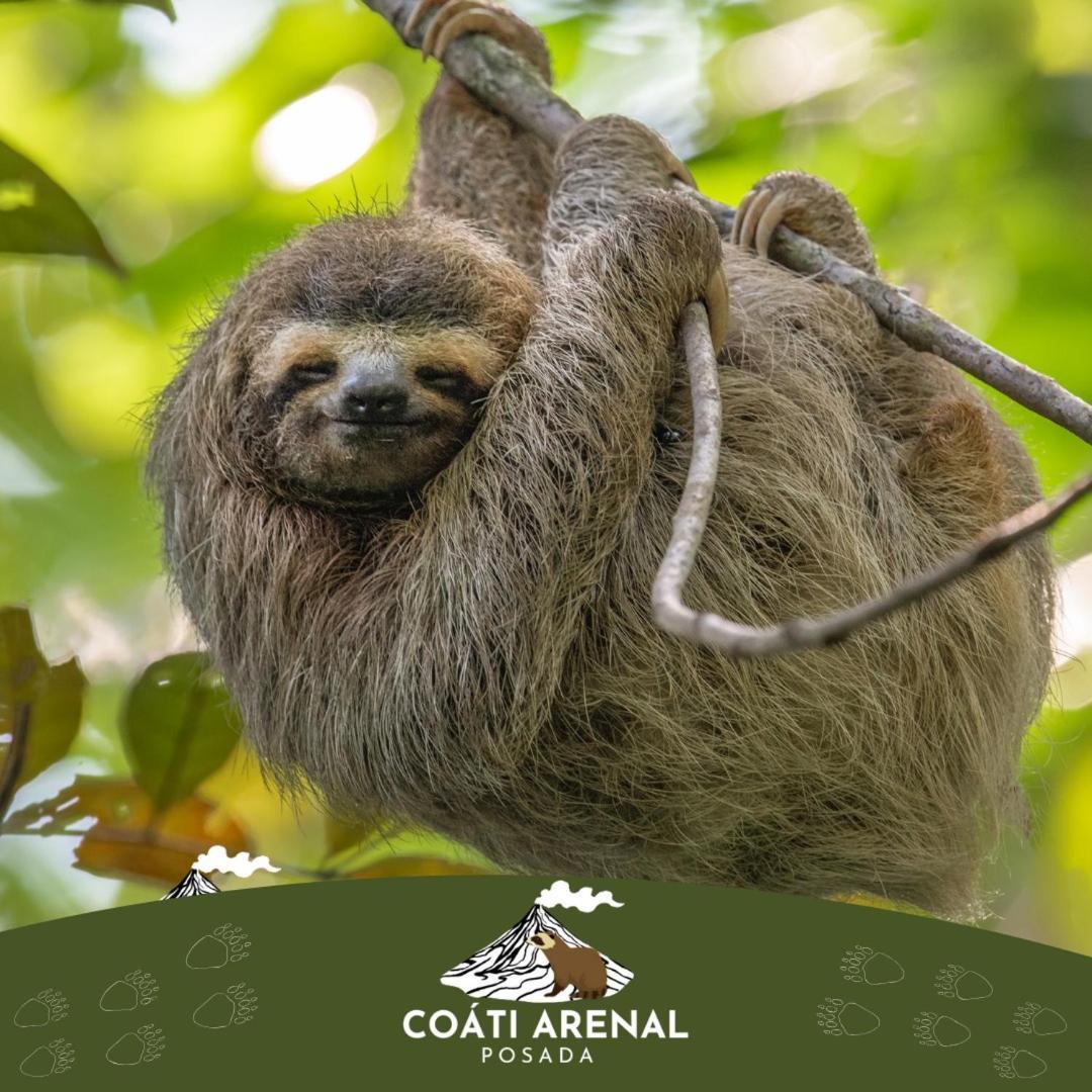 Apartment Coati Del Arenal *