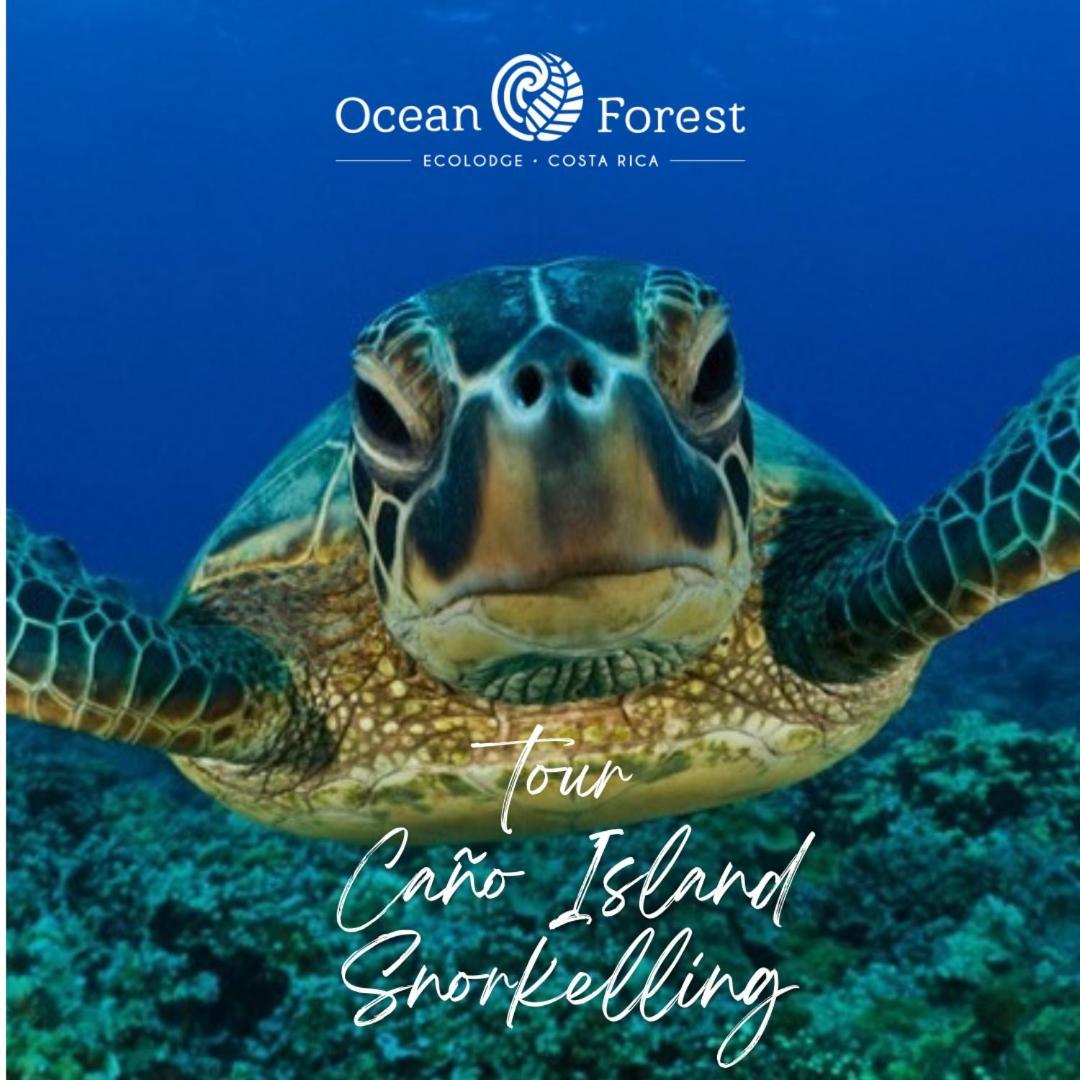 Hotel Ocean Forest 3*