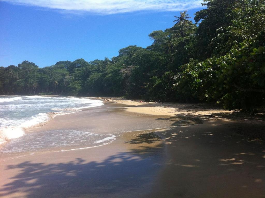 Samasati Yoga & Wellness Retreat Hotel Puerto Viejo de Talamanca