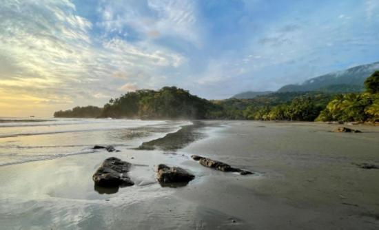 Villa Tortuga Premium Riverfront Jungle With Jacuzzi And Pool Uvita