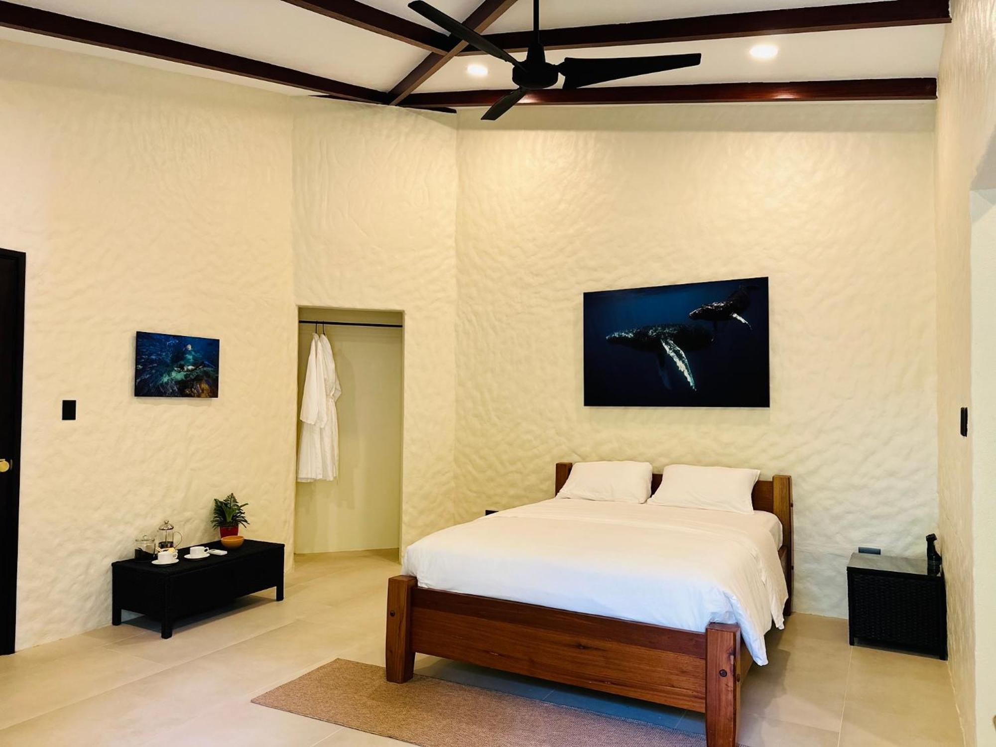 Corcovado Wilderness By Scp Hotel