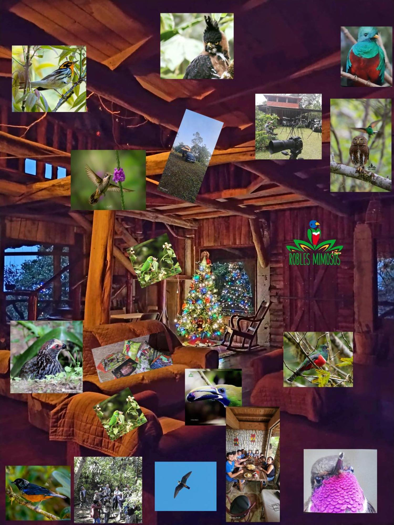 Bed & Breakfast Reserva Y Robles Mimosos *