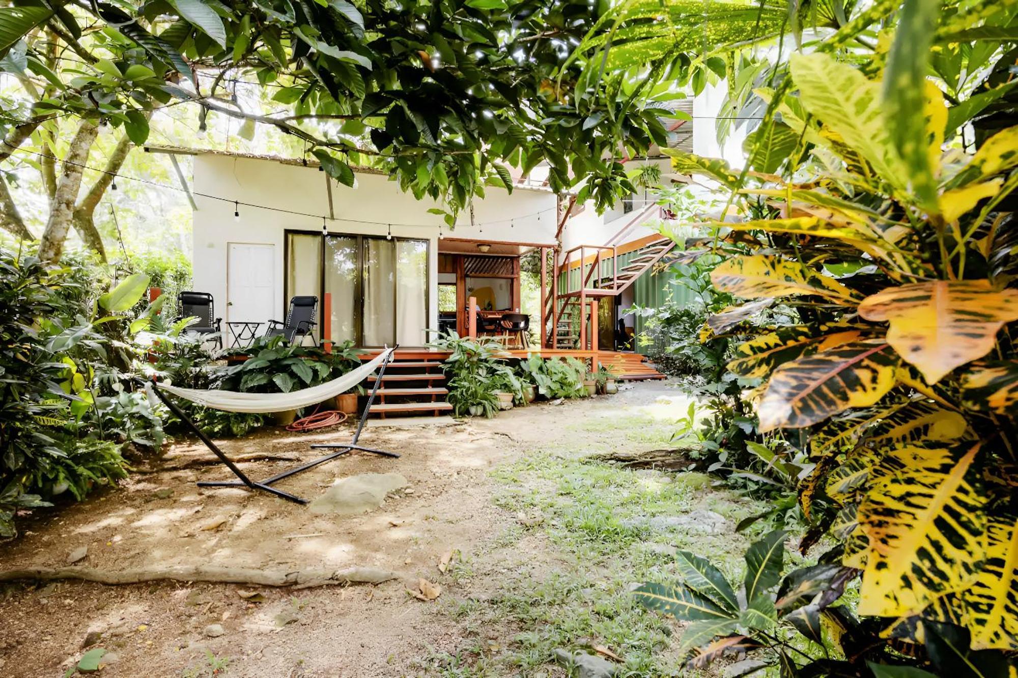 Osa De Rio Uvita