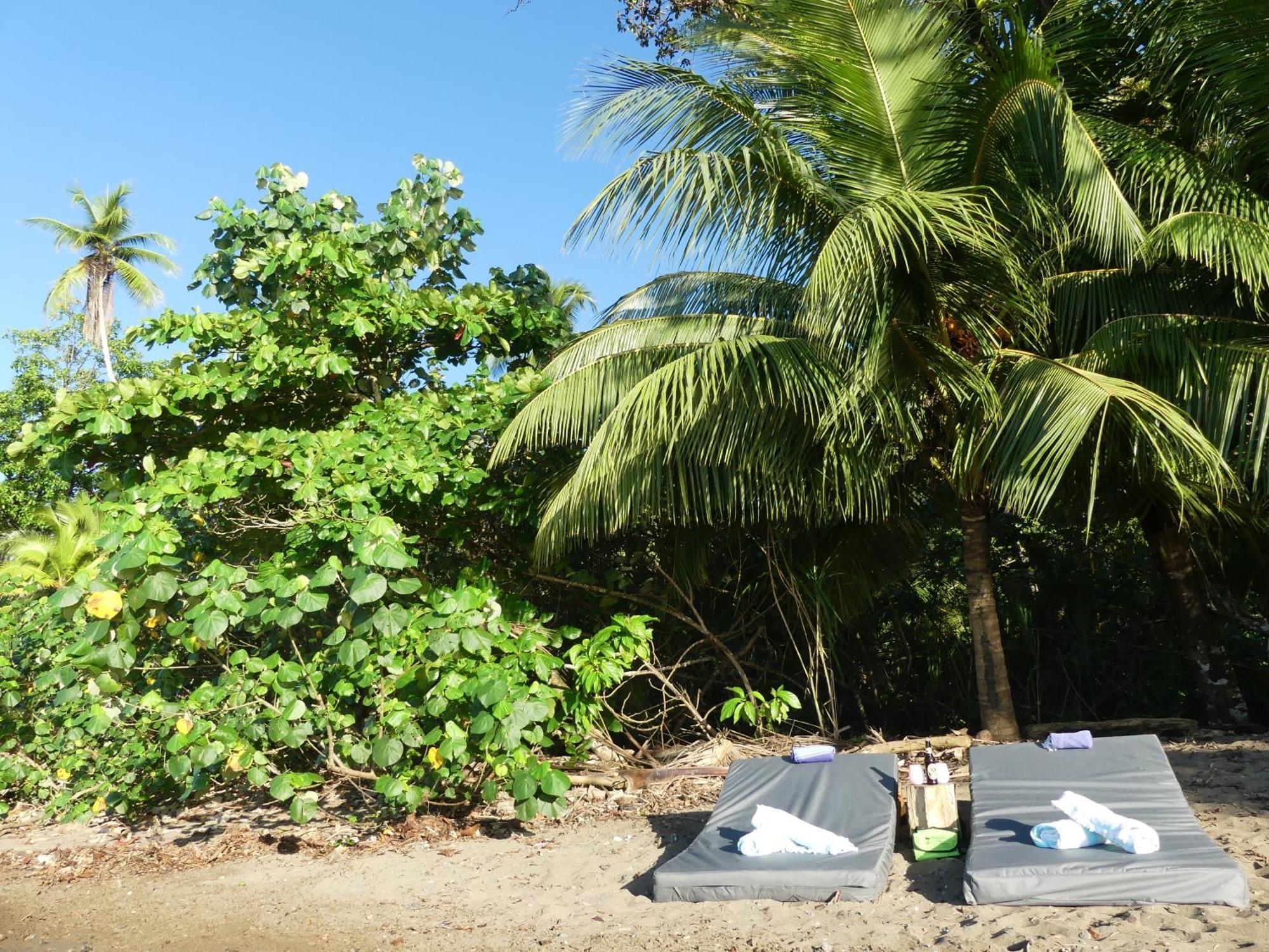 The Tranquilo Lodge, Adult Only, Meals Included Drake Bay