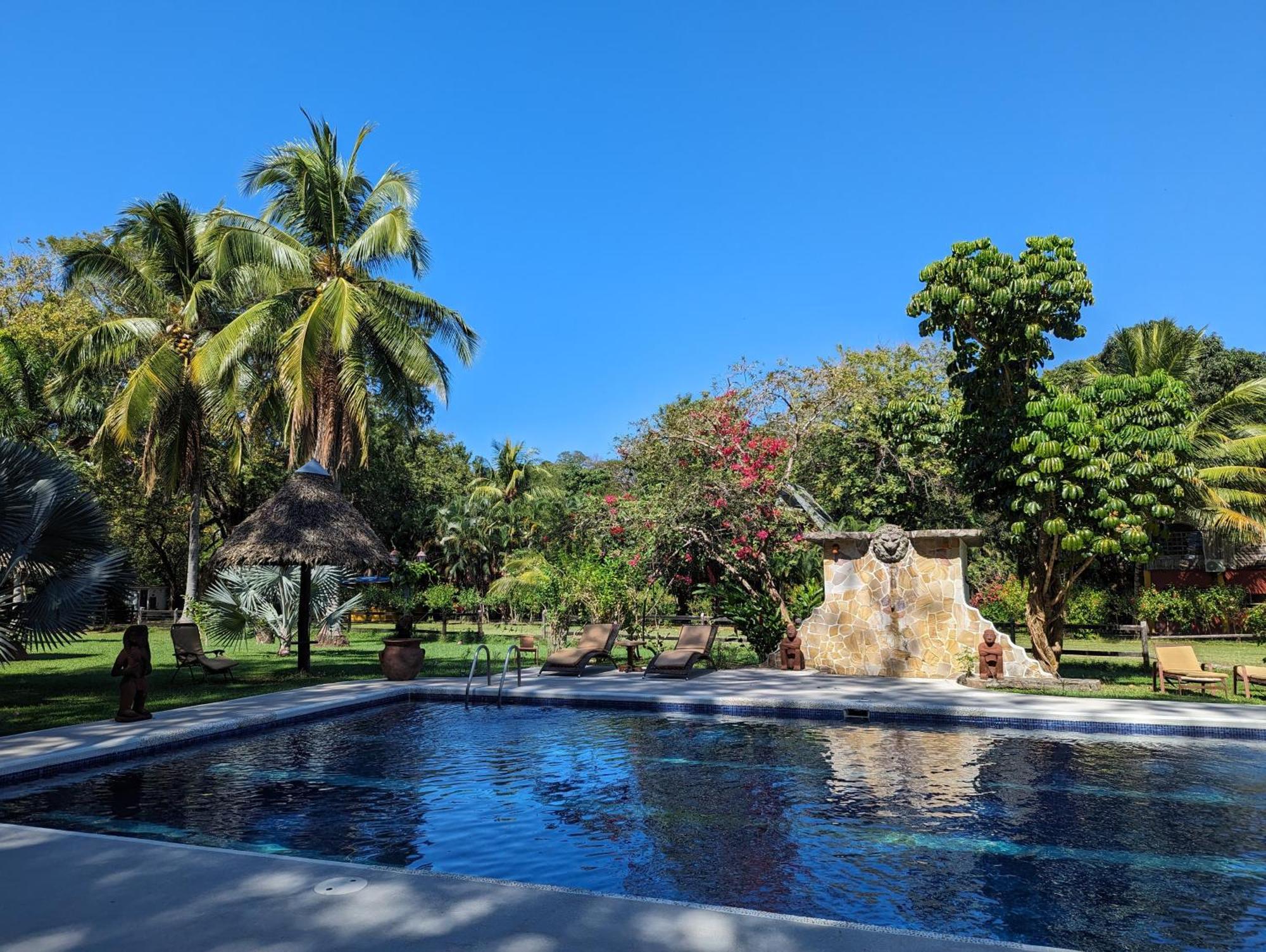 Hotel Spirit Of Jungle