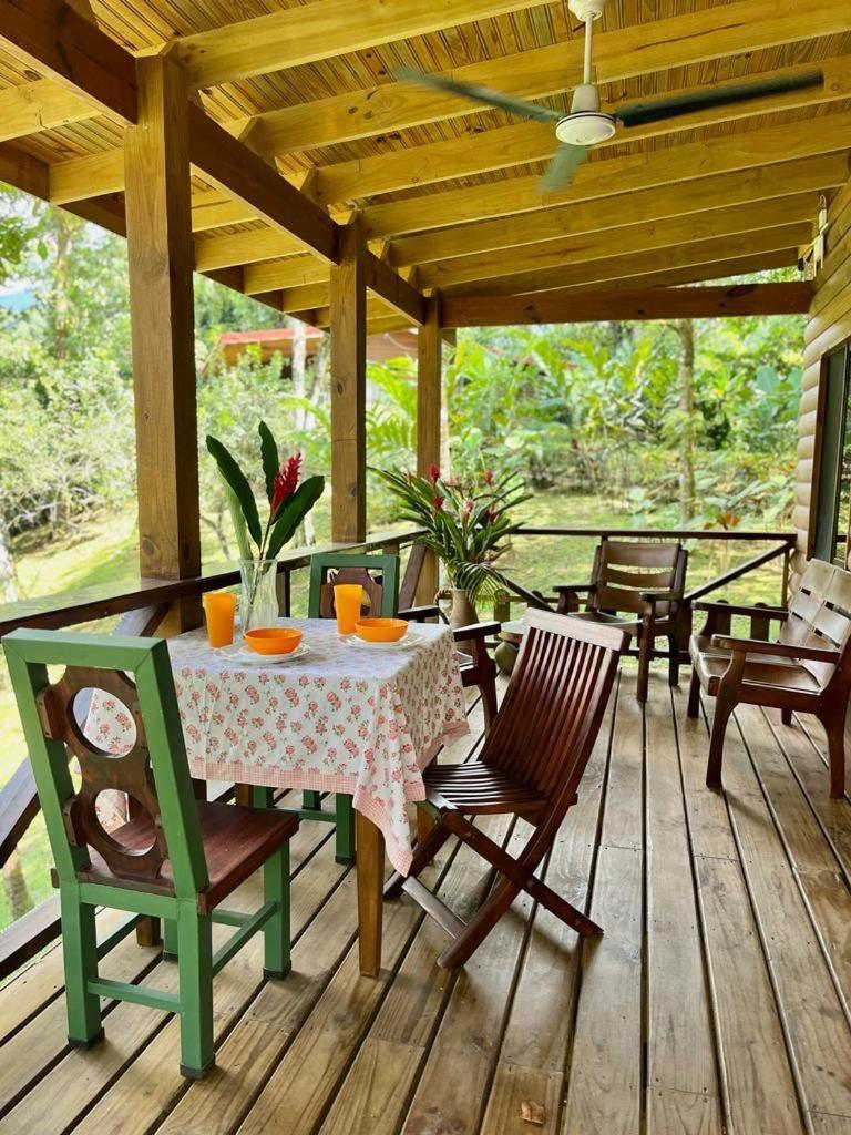 Casitas Ginger *