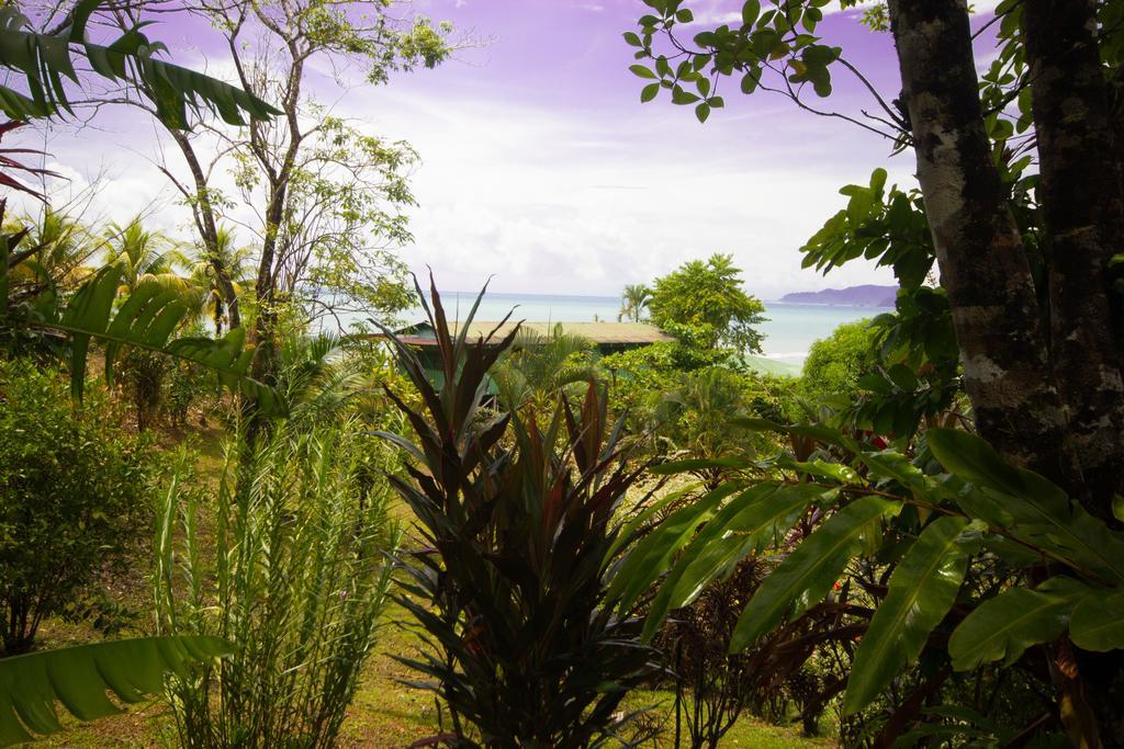 Rancho Corcovado 2* Drake Bay