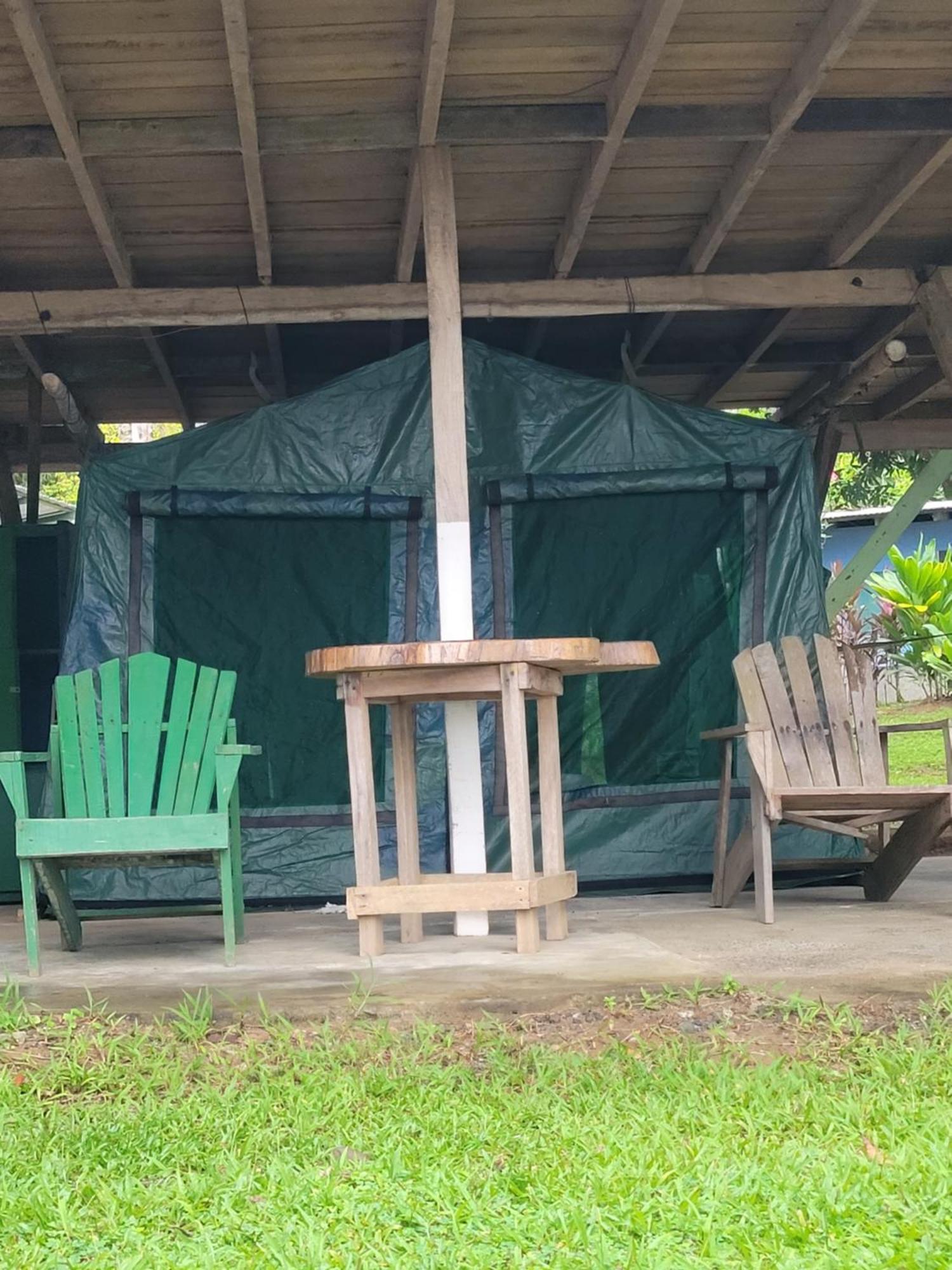 Life For Life Hostel: Sea Turtle Conservation At Hostel Drake Bay