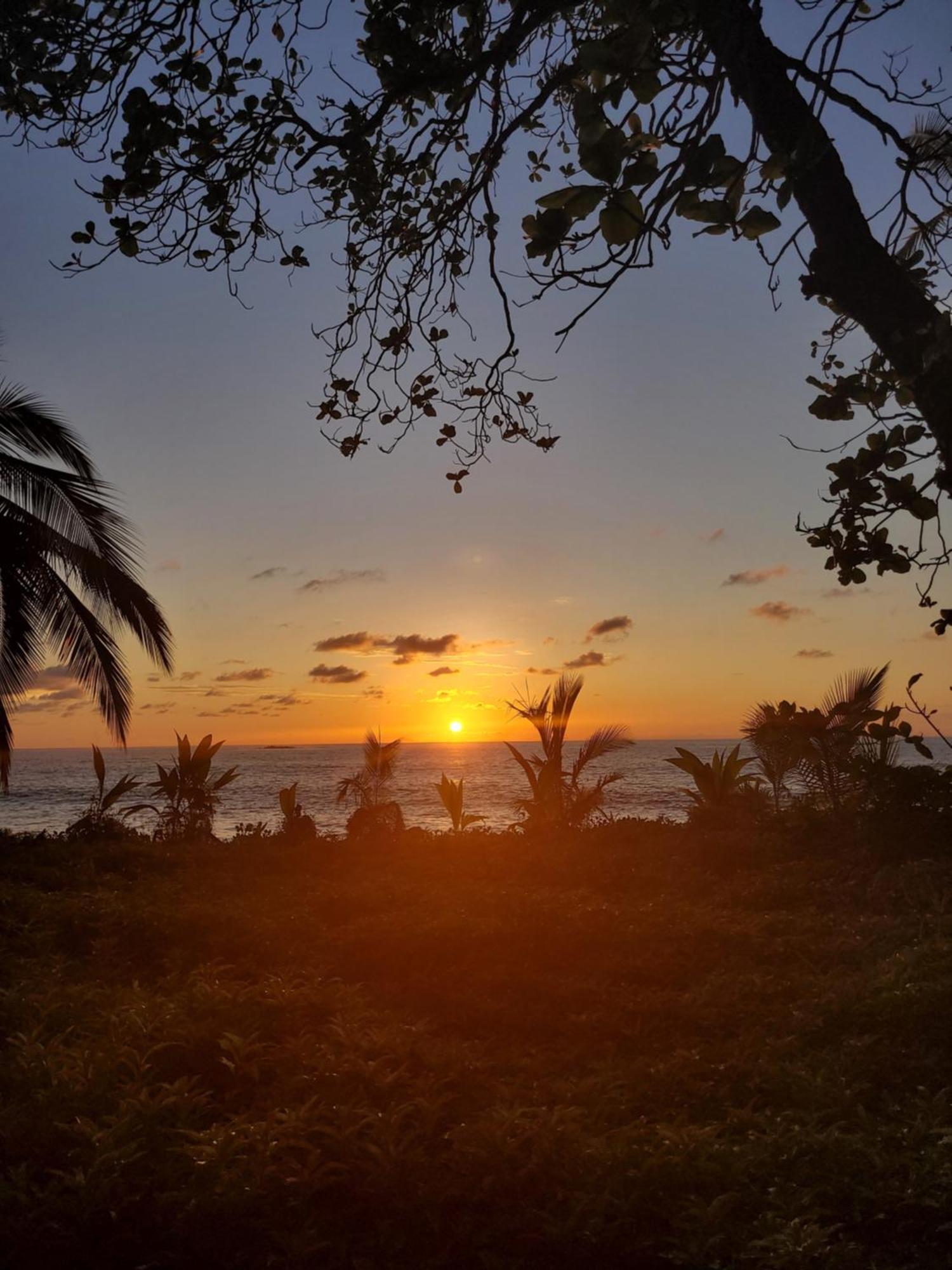 Life For Life Hostel: Sea Turtle Conservation At