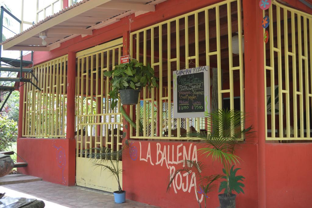 La Ballena Roja And Cafe